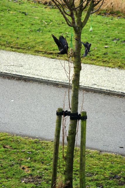 Ja. dat is tenminste lekker