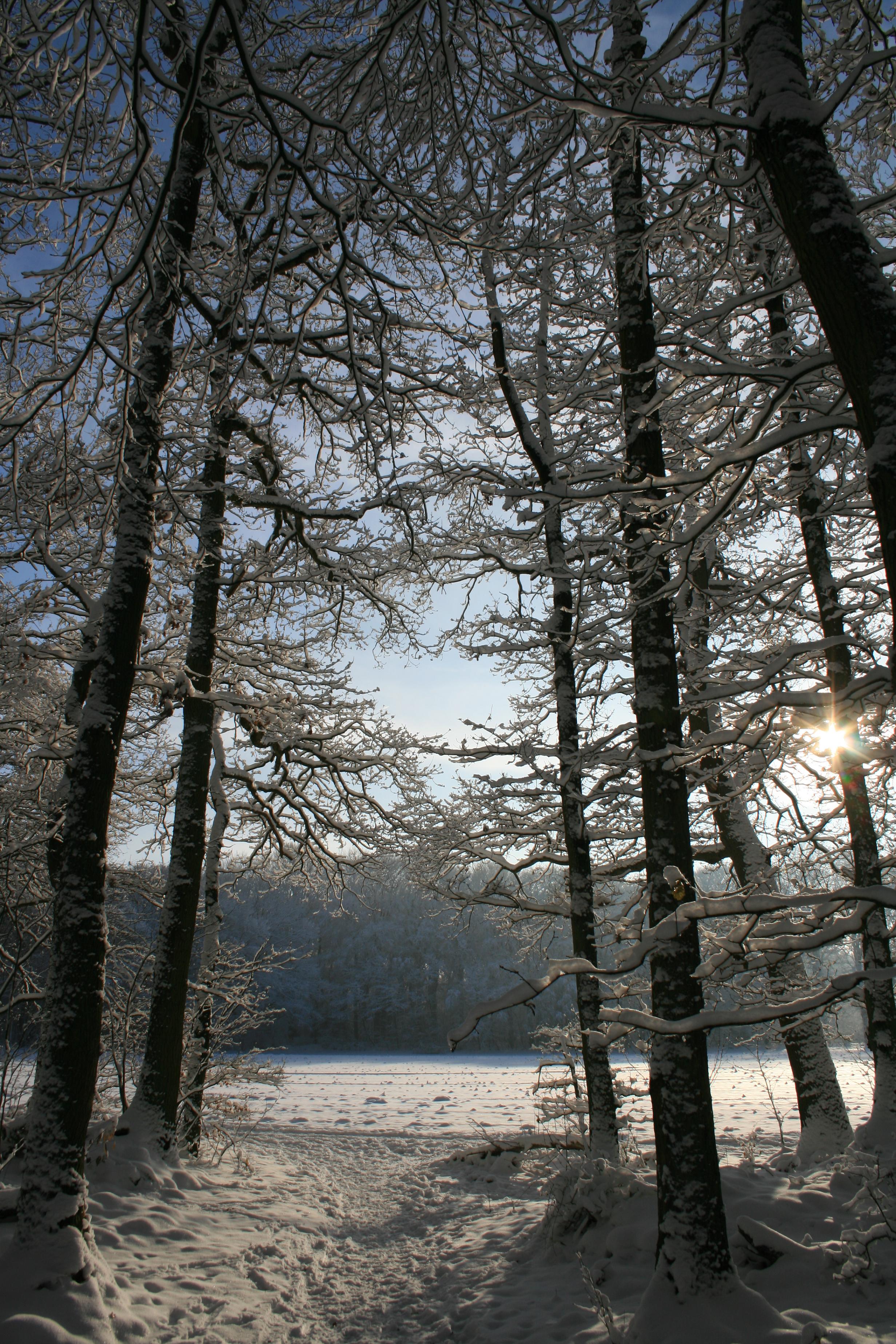 Winter 2010 4