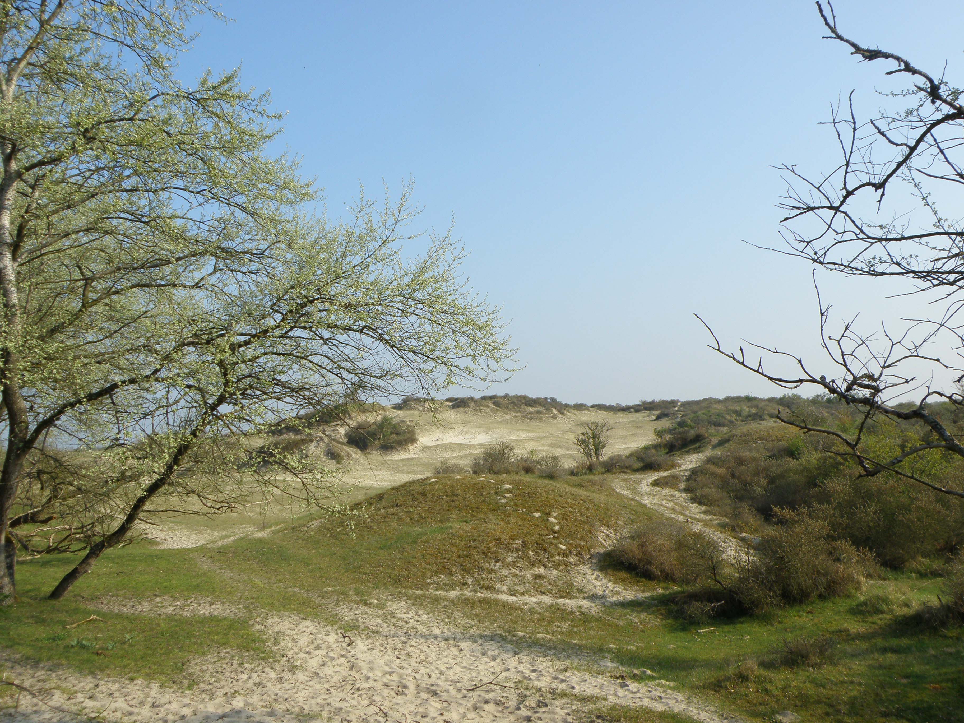 zeepeduinen
