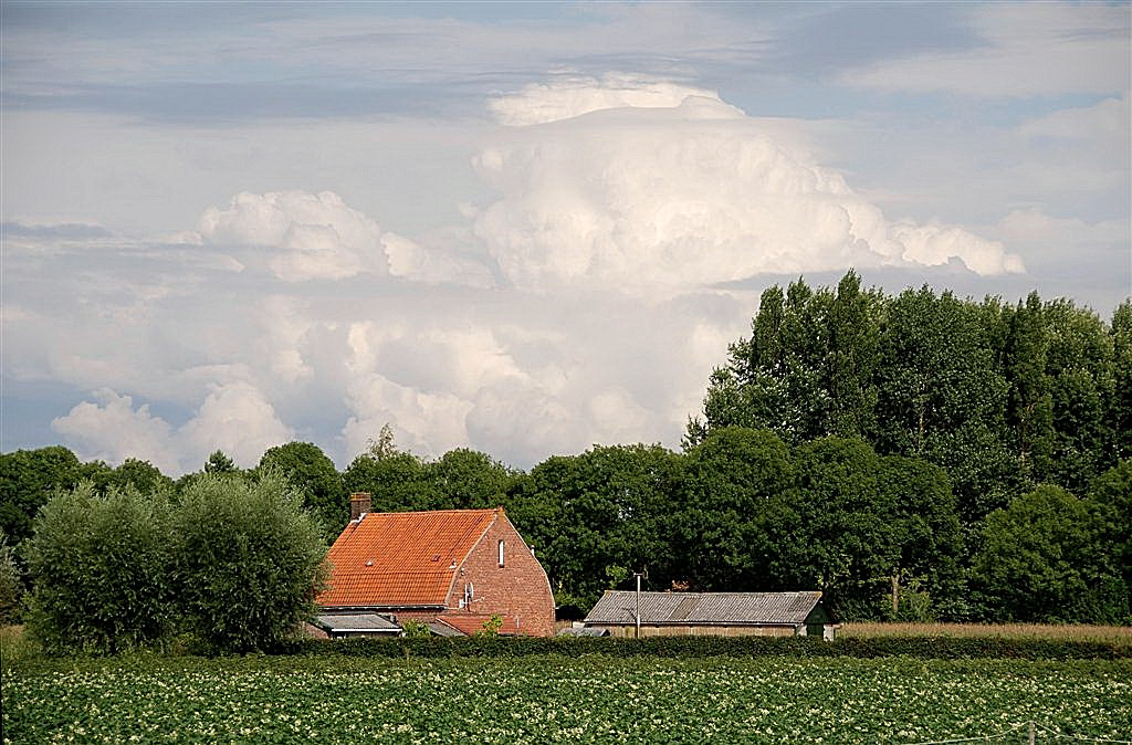 Cumulonimbuswolken.