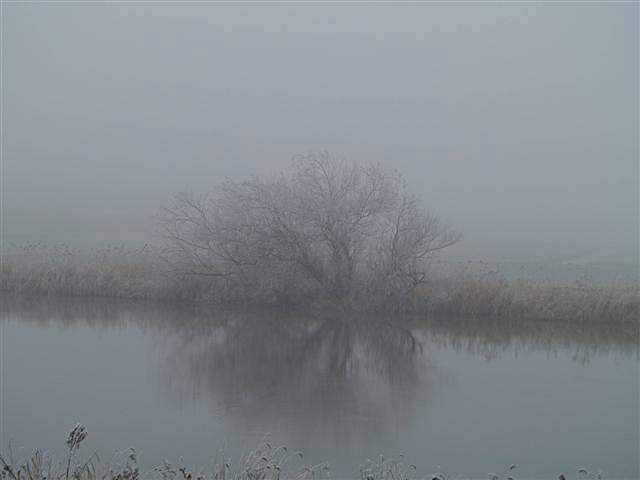 Polderringvaart in de winter