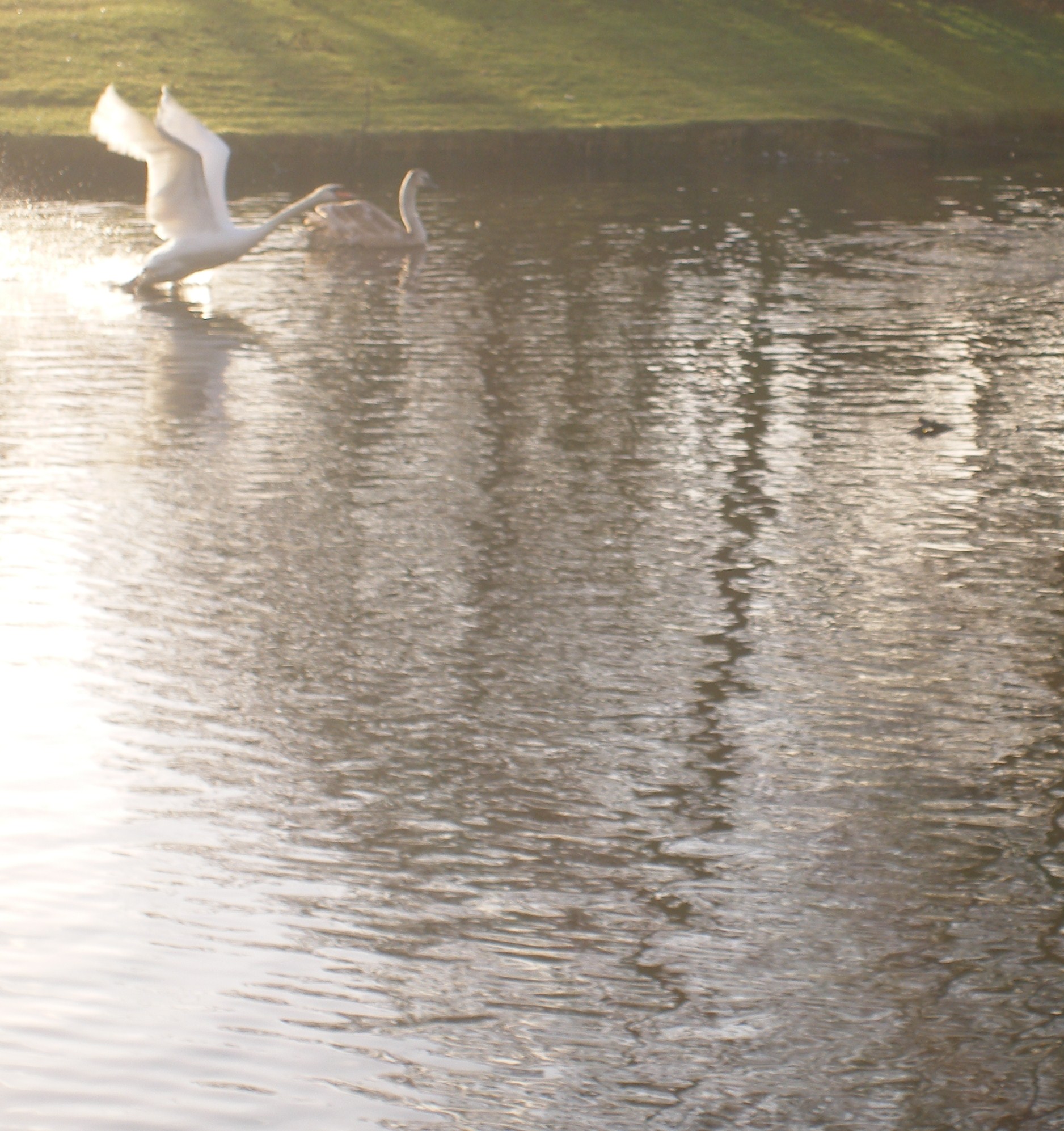 vroege start
