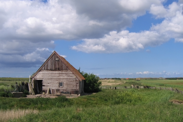 schuur op texel