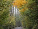 herfst in aantocht..