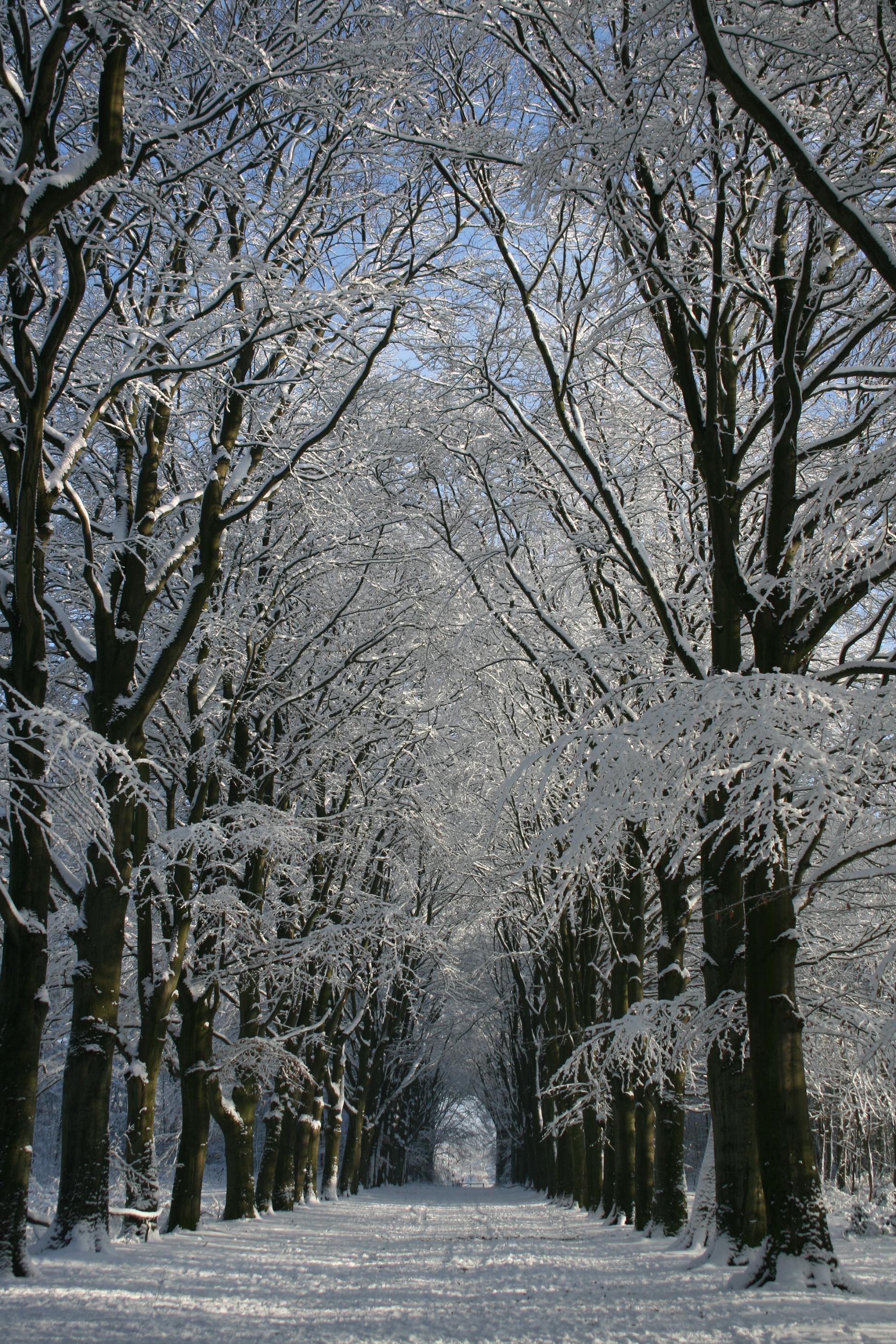 Winter 2010 3