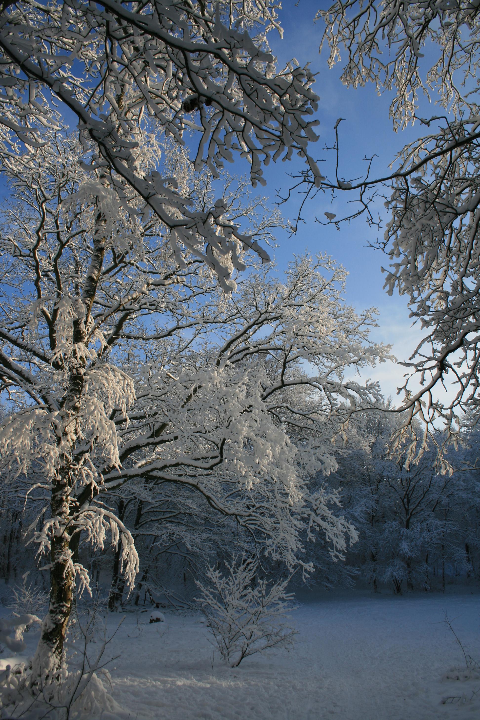 Winter 2010 6