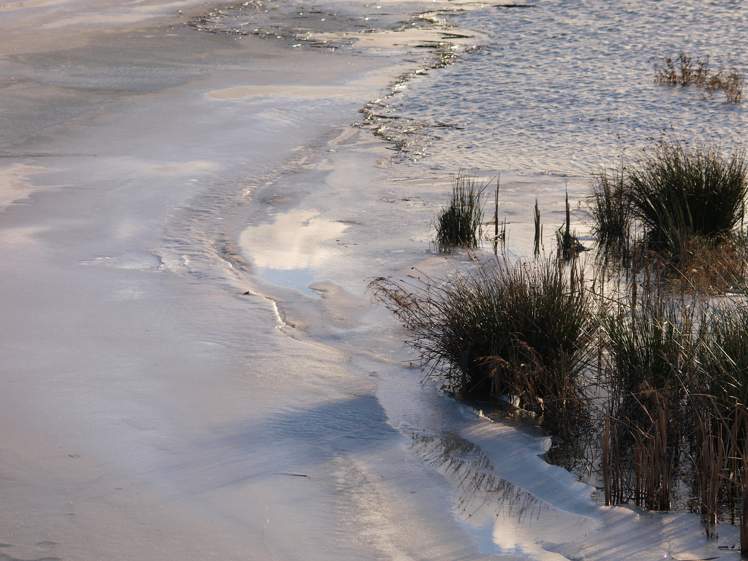 Winterlandschap