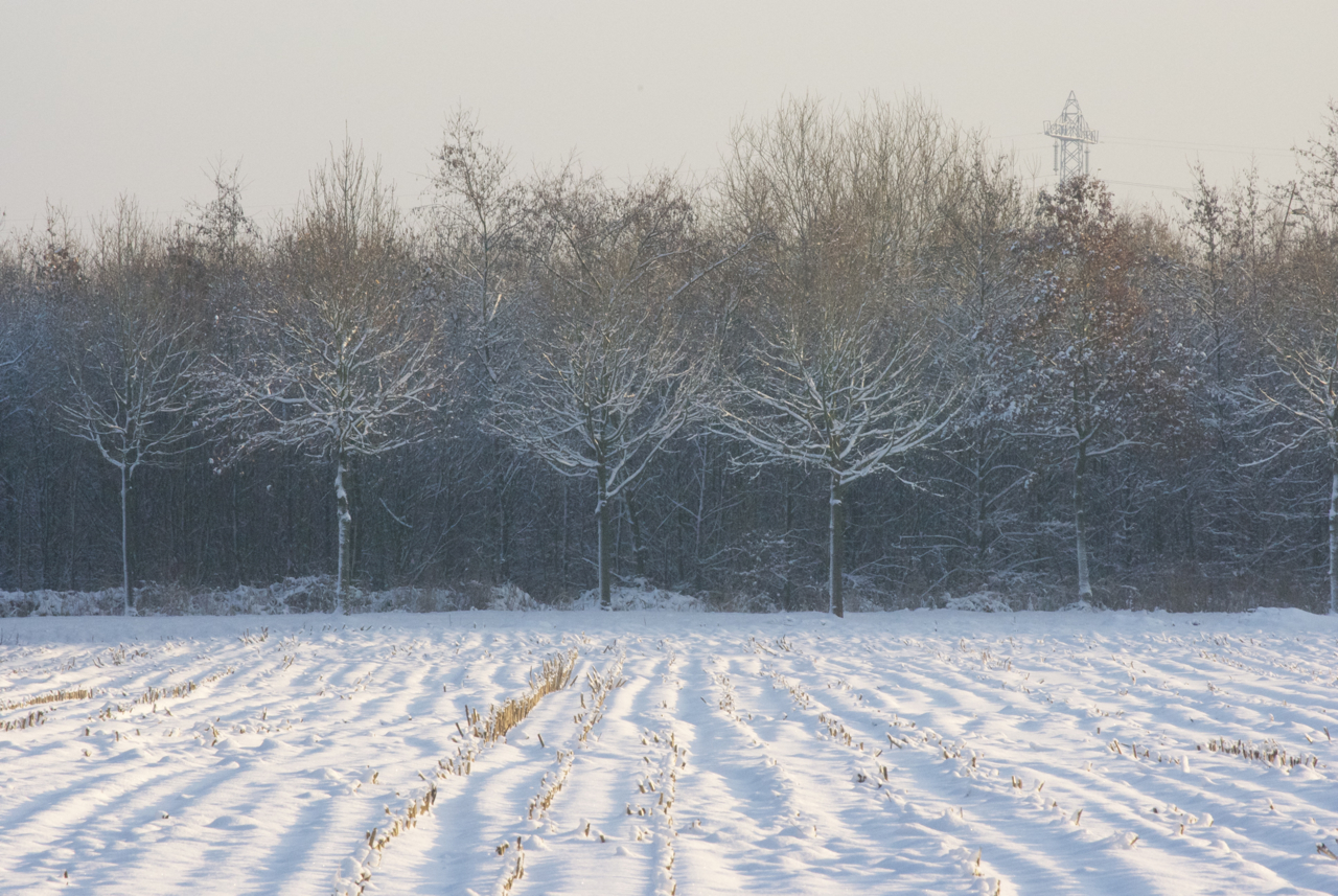 sneeuwlandschap5