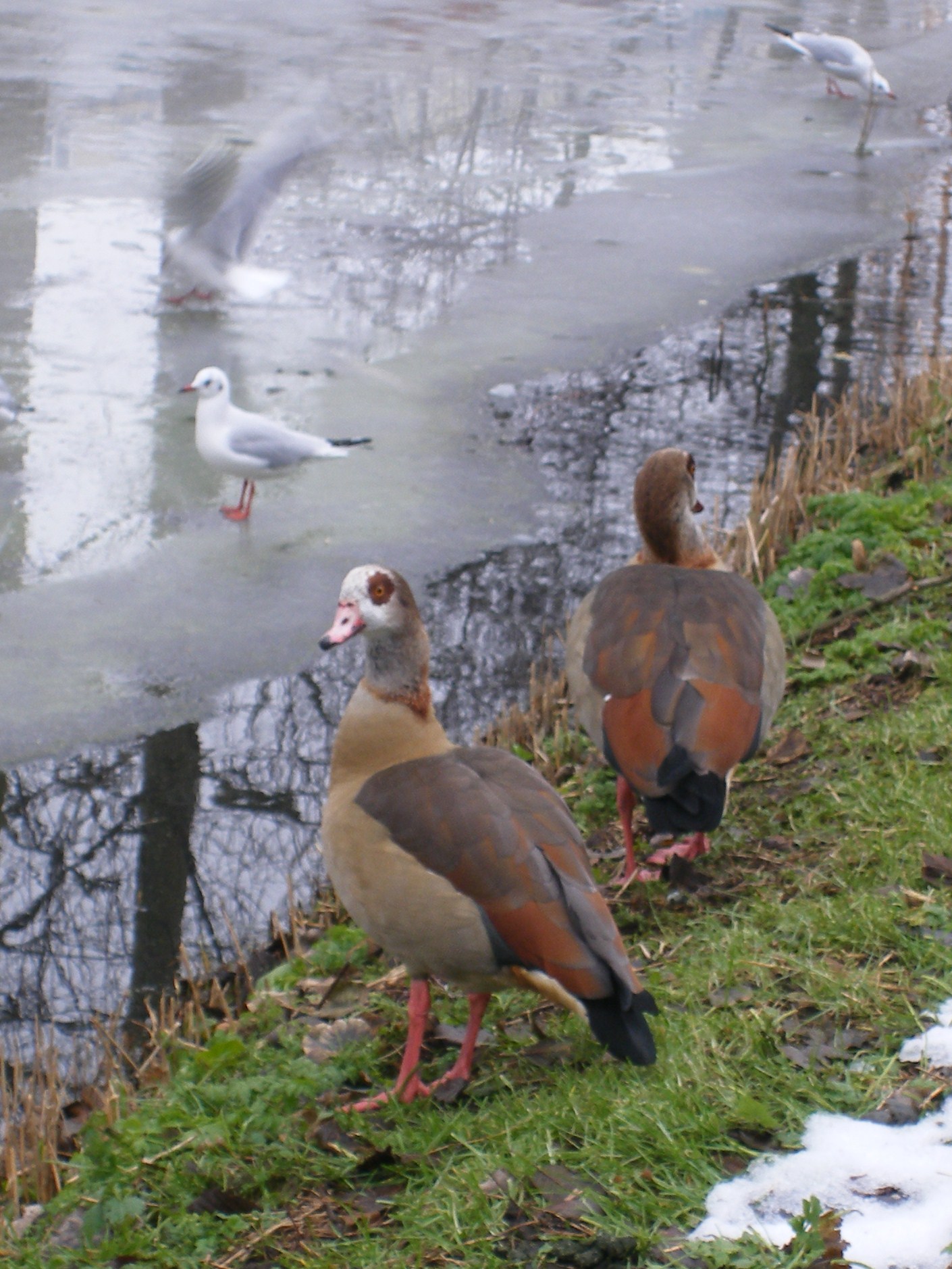 geduldig wachten op brood