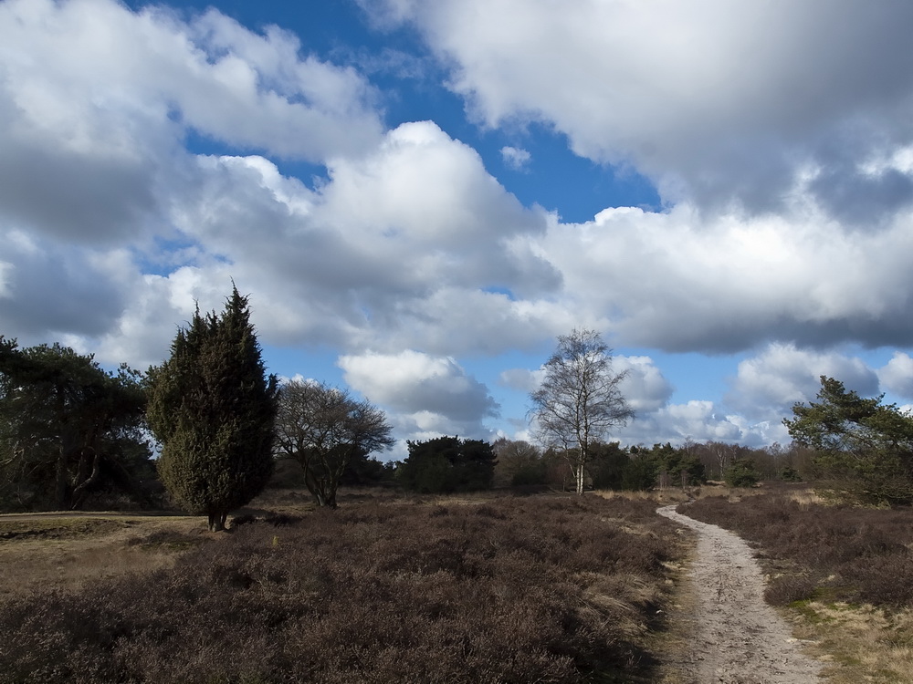 natuurgebied de Borkeld
