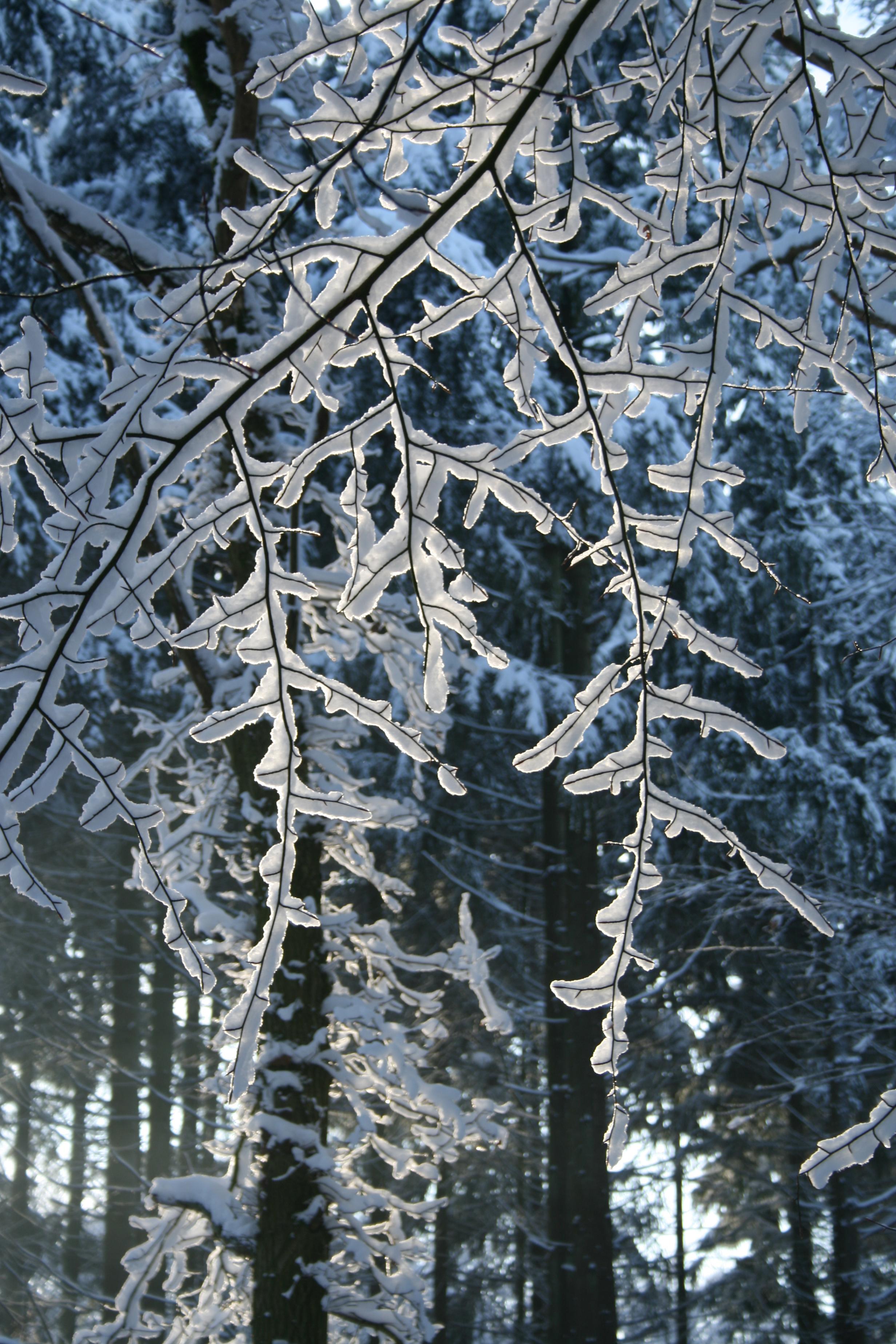 Winter 2010 8