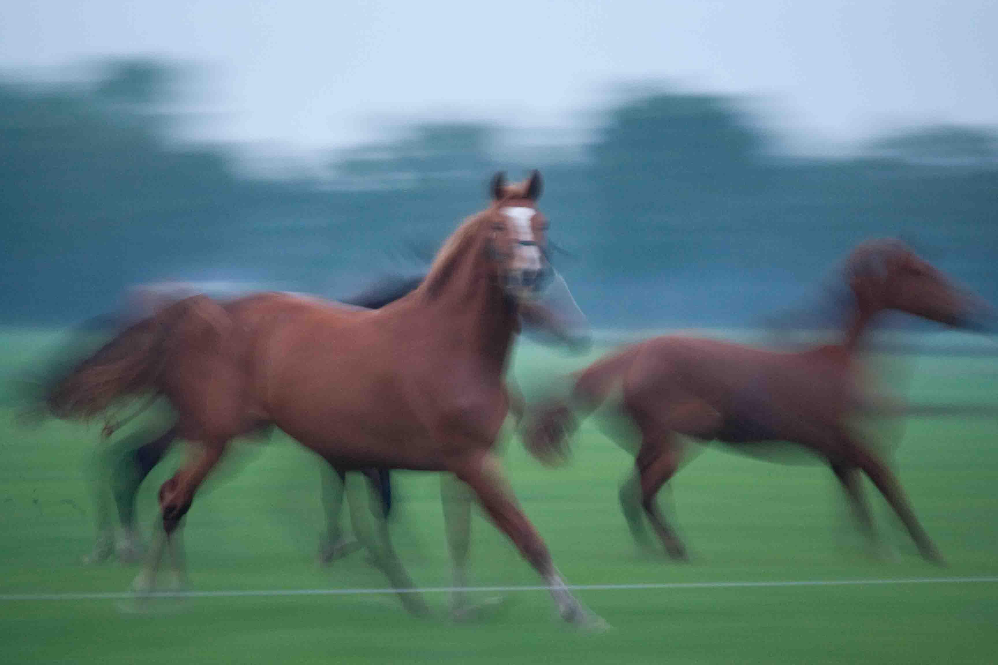 zo vrolijk, zo voorjaar