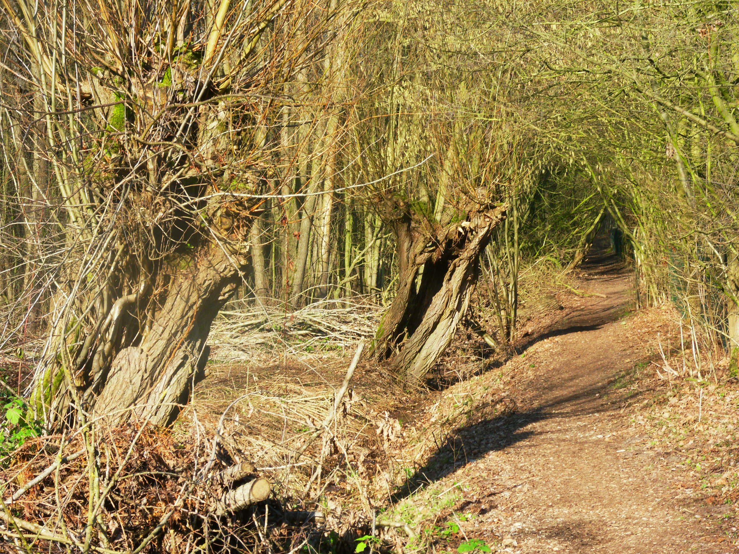 dit is echt zo mooi!