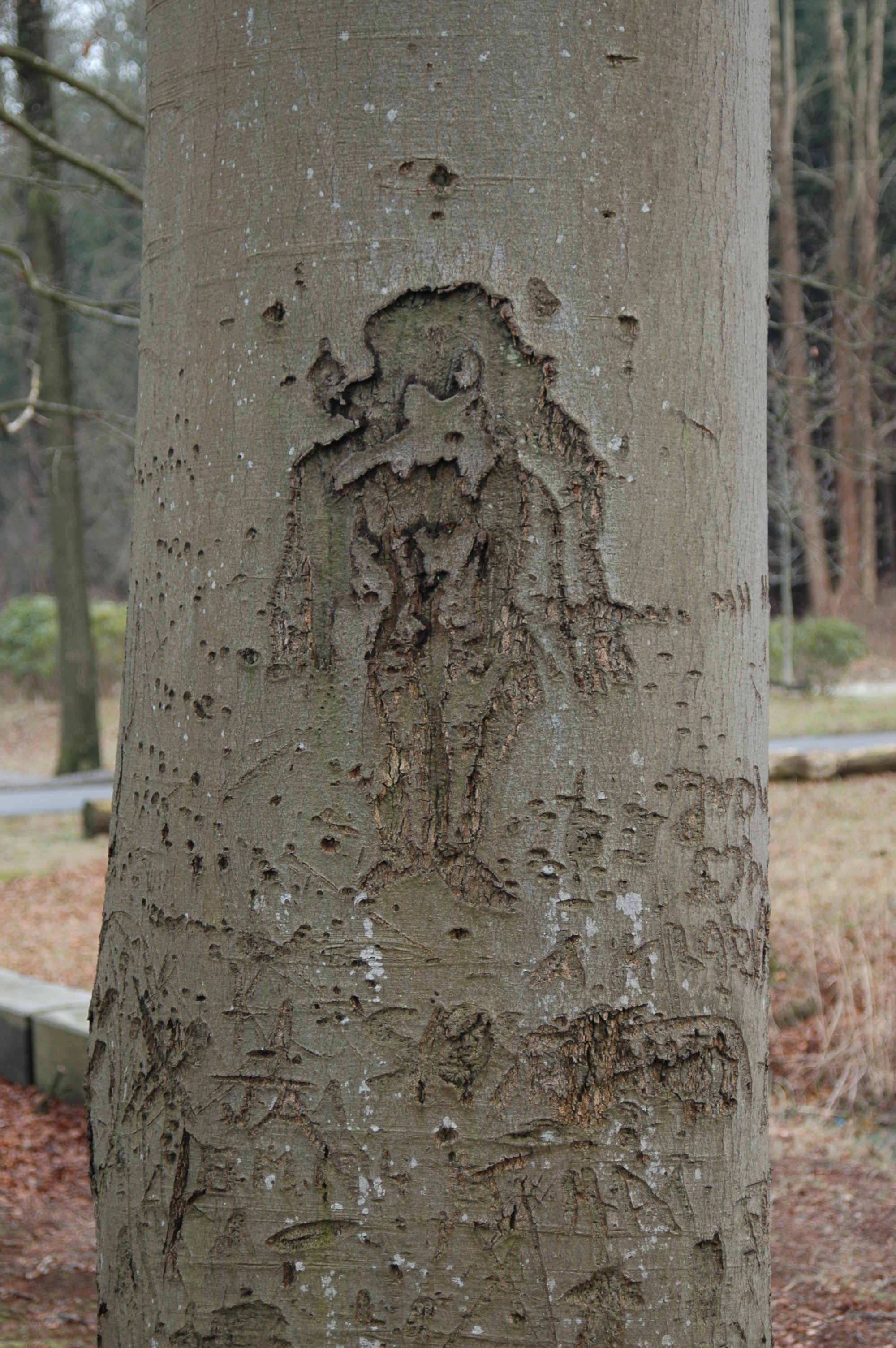 Scarification 2 - Niet waarneembare beweging