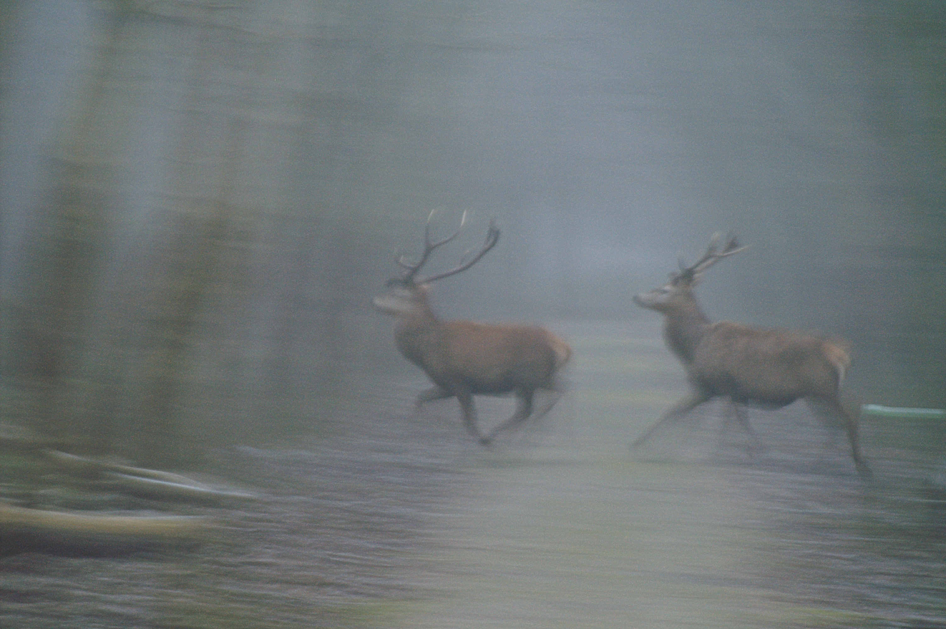 "Gevaar !! Wegwezen !!"