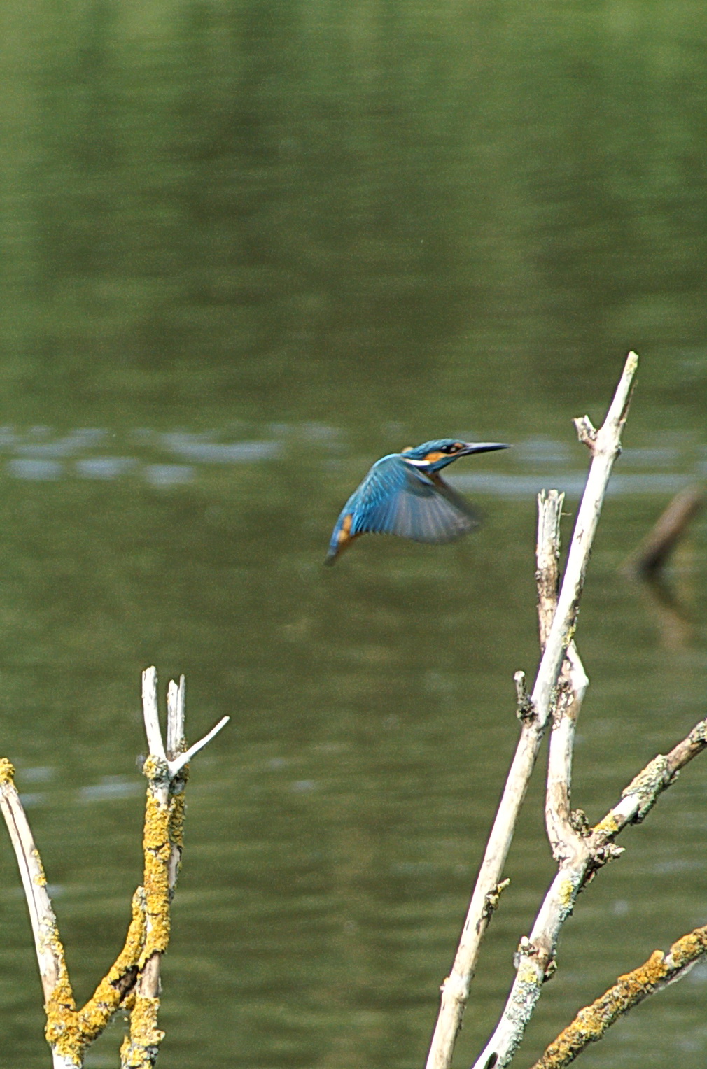 "Een mooi visplaatsje !"
