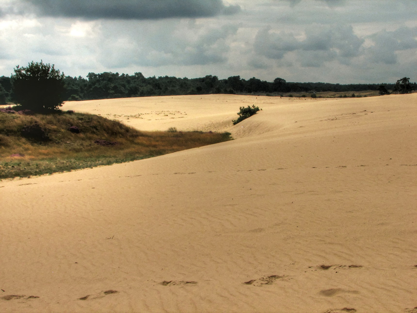 Hollandse Sahara