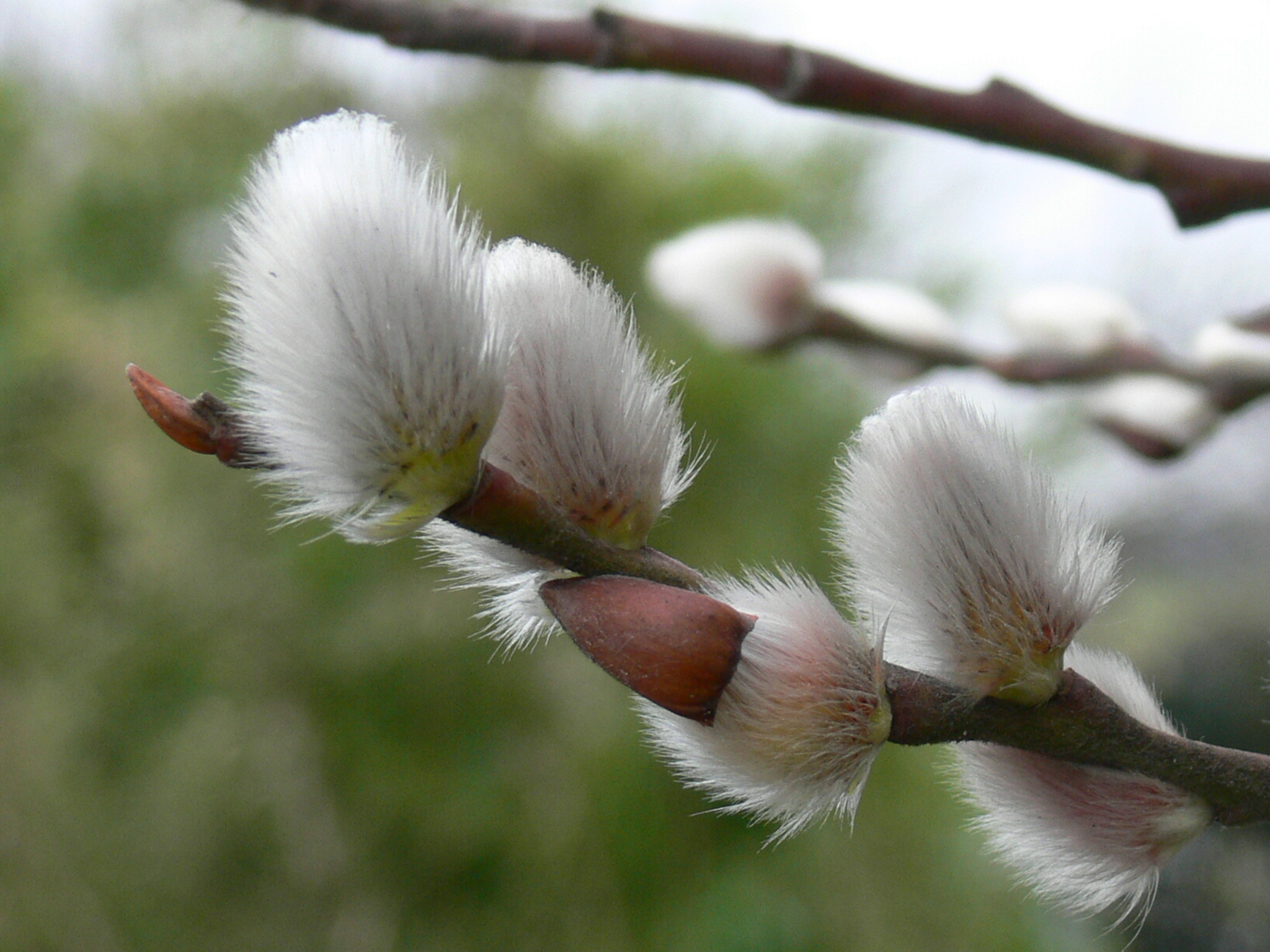 Het voorjaar is in aantocht!