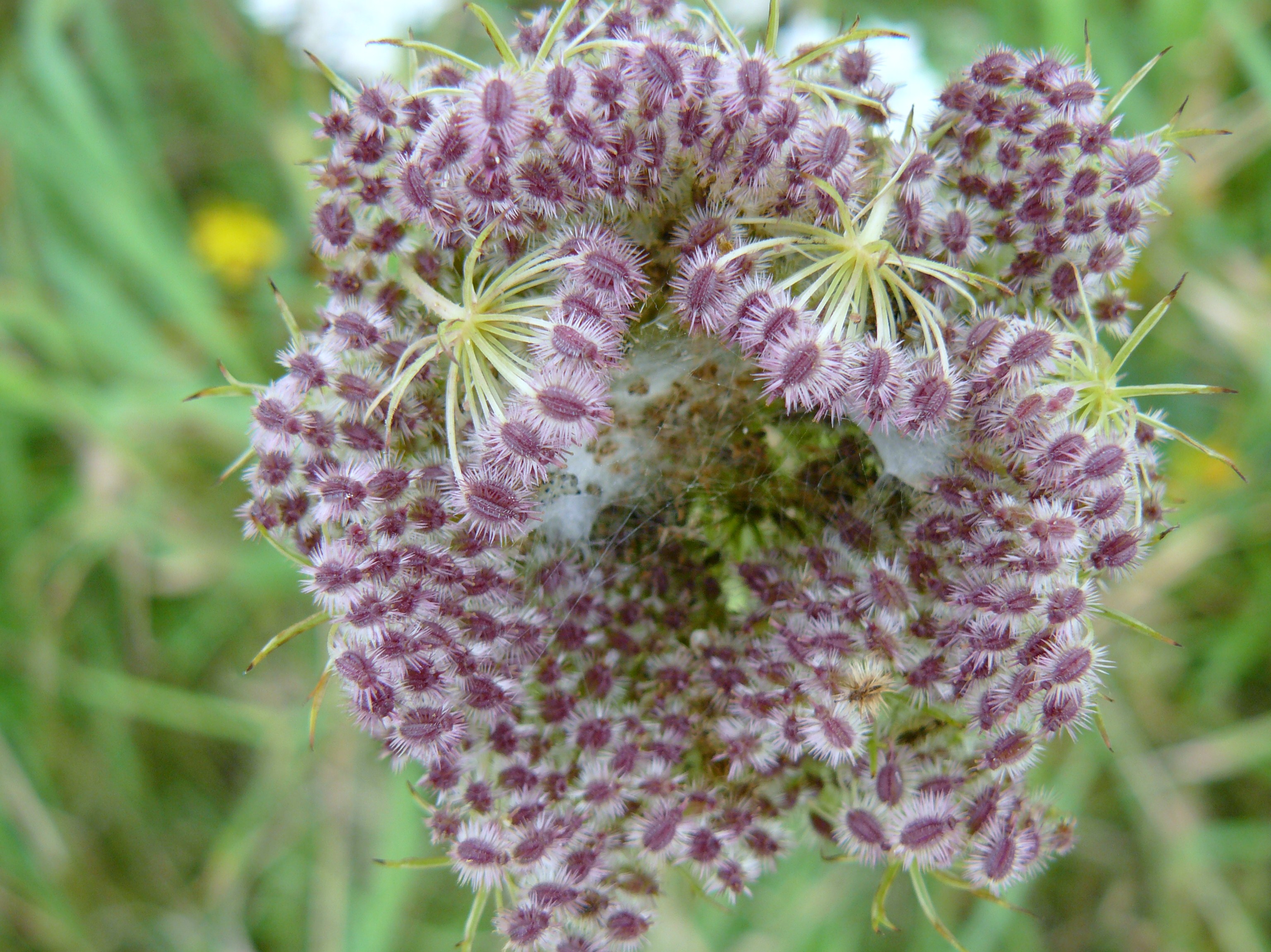 vormen samen een mooi geheel