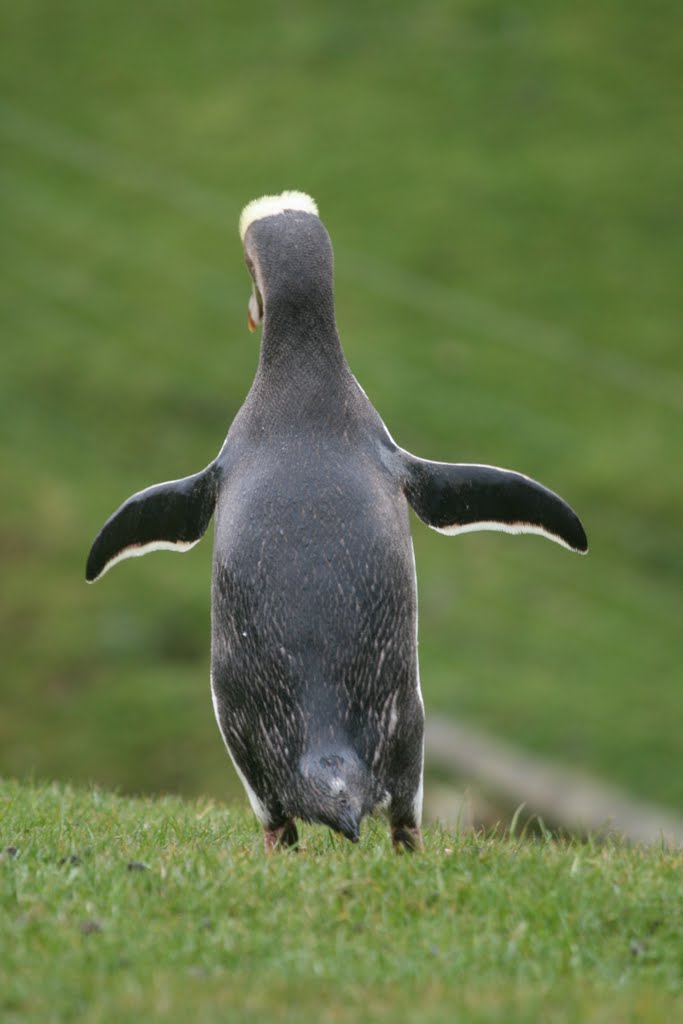 Even 'n beetje opdrogen