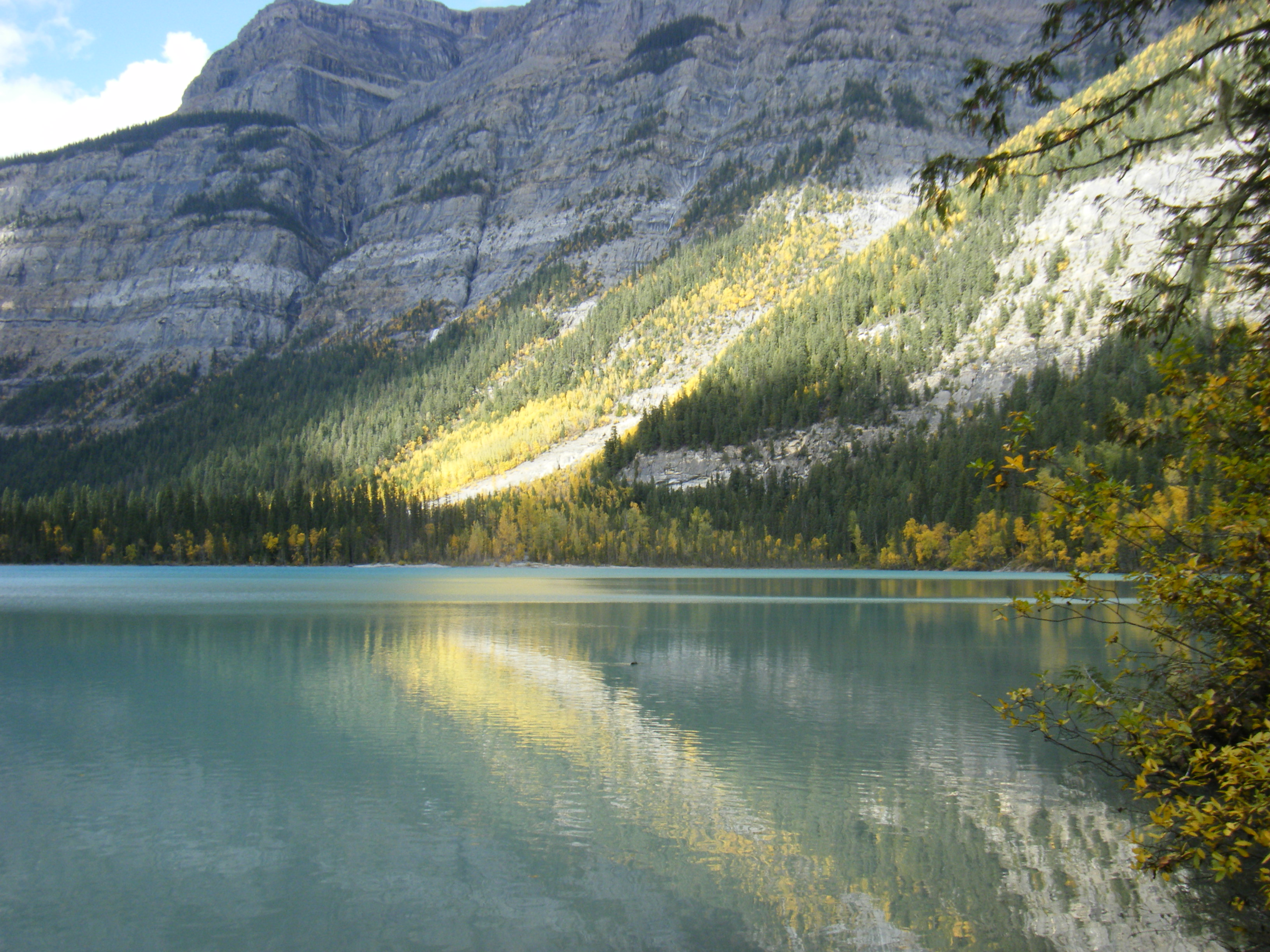 weerschijn in het water