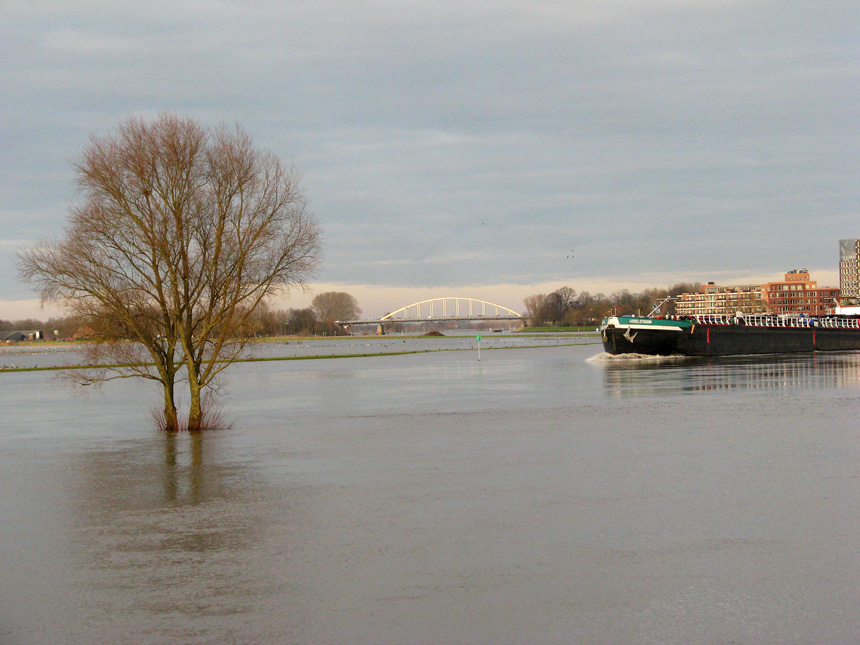 Tegen de beweging in