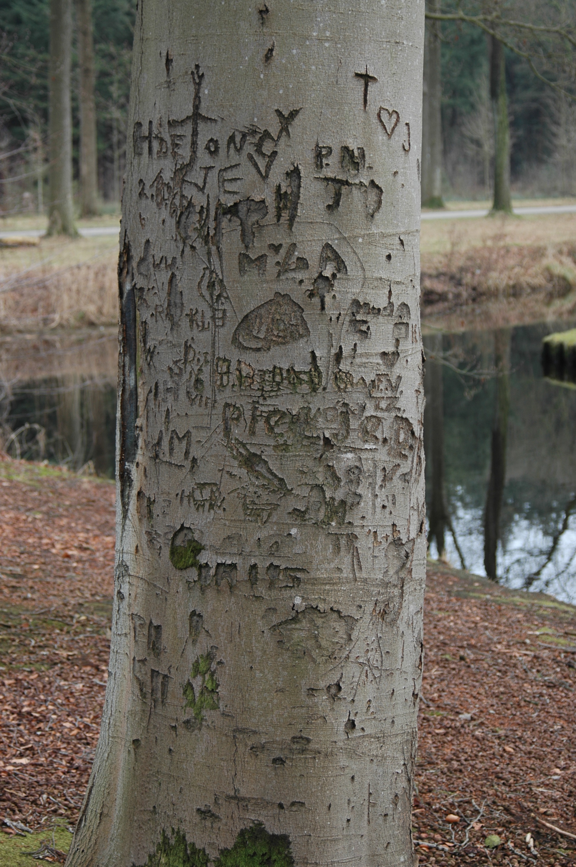 Scarification 1 - Niet waarneembare beweging