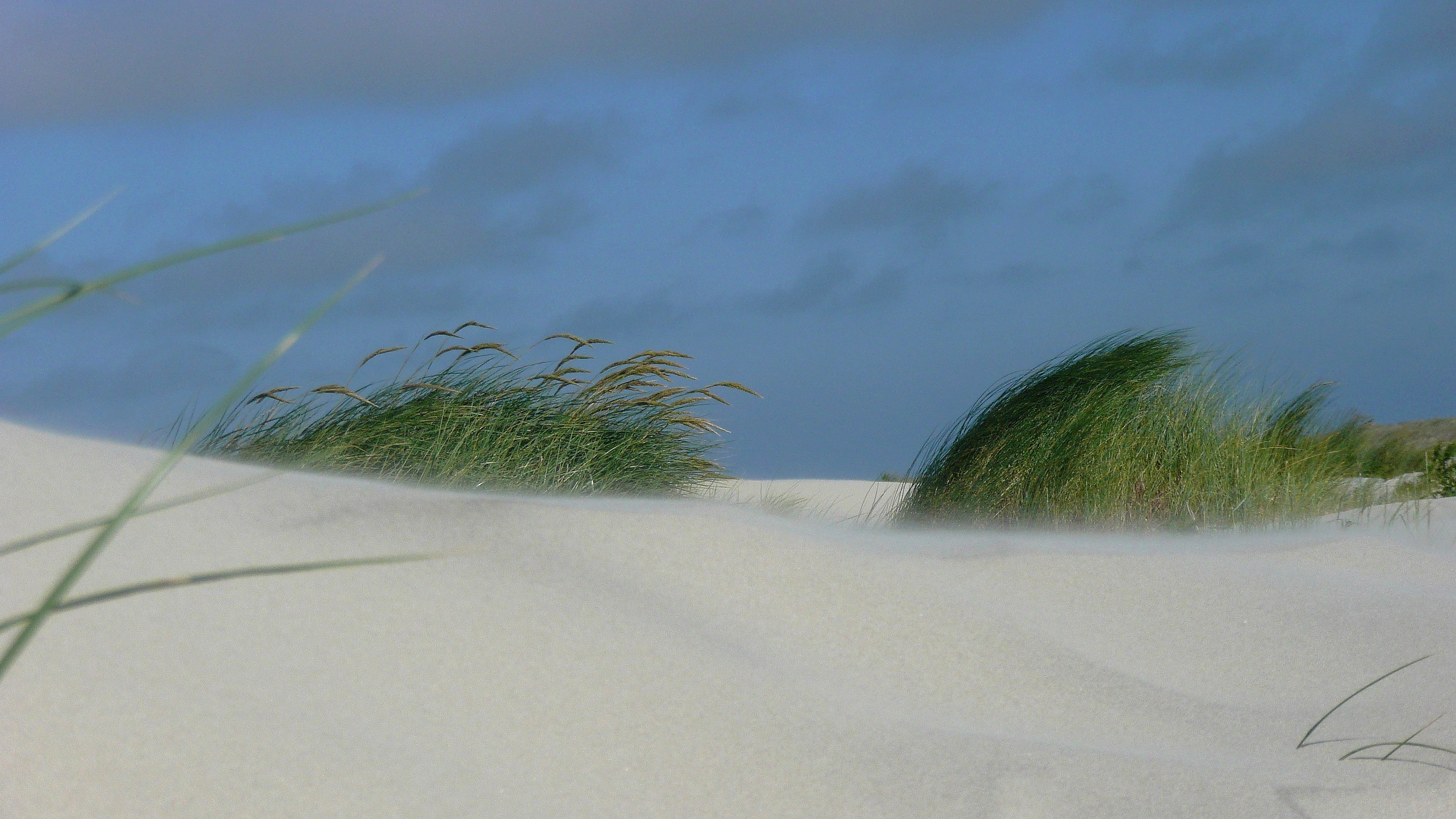 wind en stuifzand