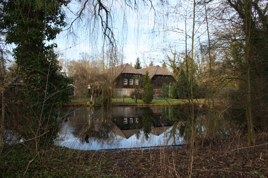 Het naderende voorjaar