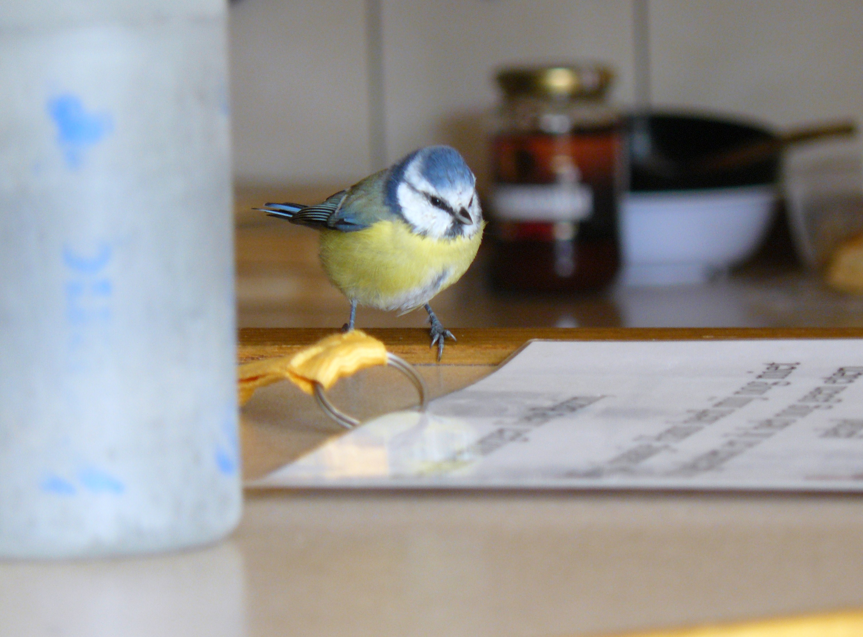 even in huis geweest