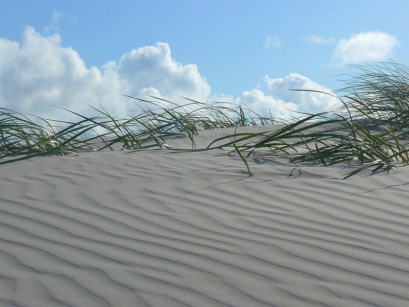 alle soorten van beweging