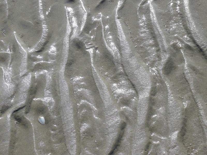 sporen van eb en vloed