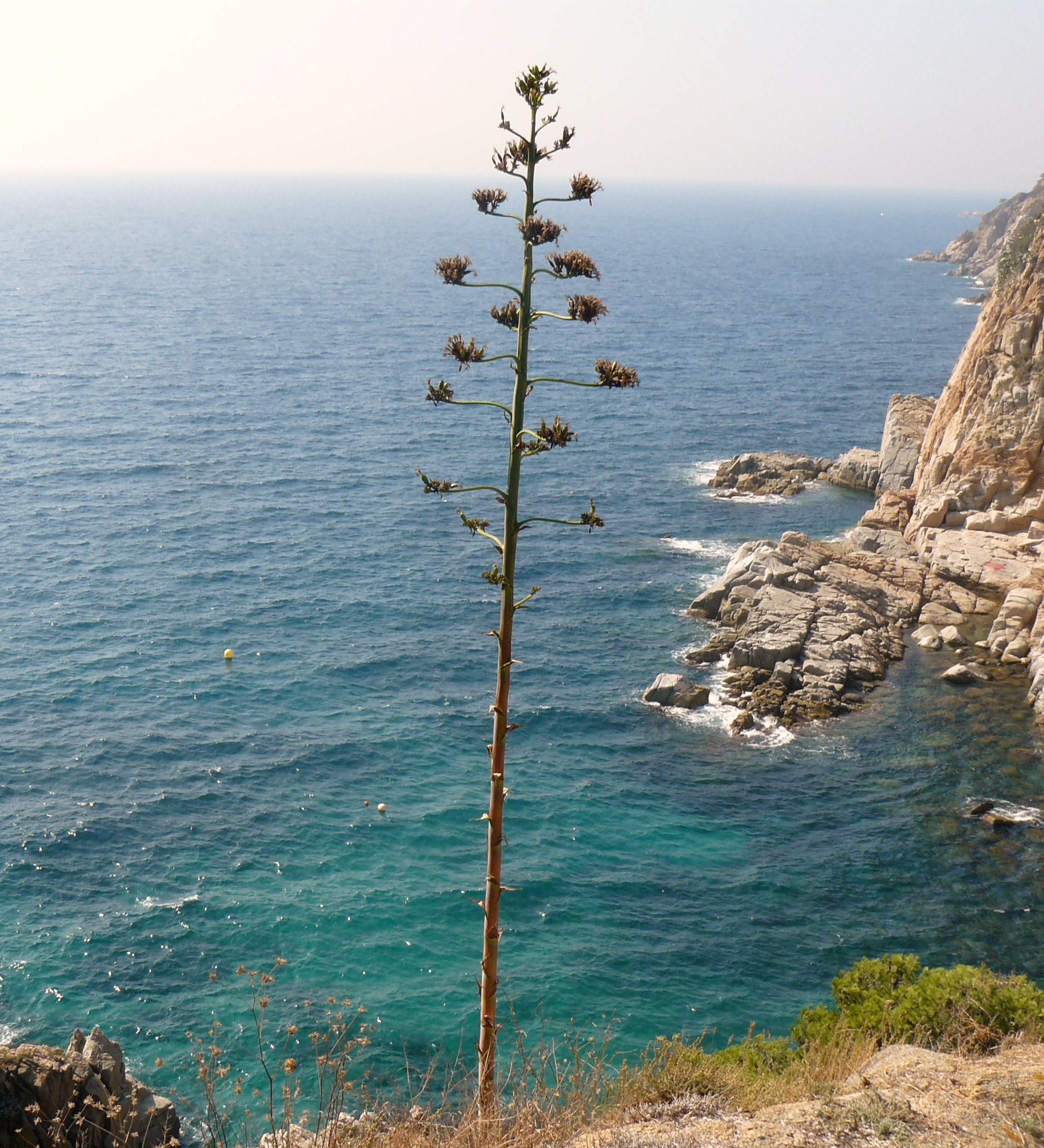 eenzame den op grote hoogte