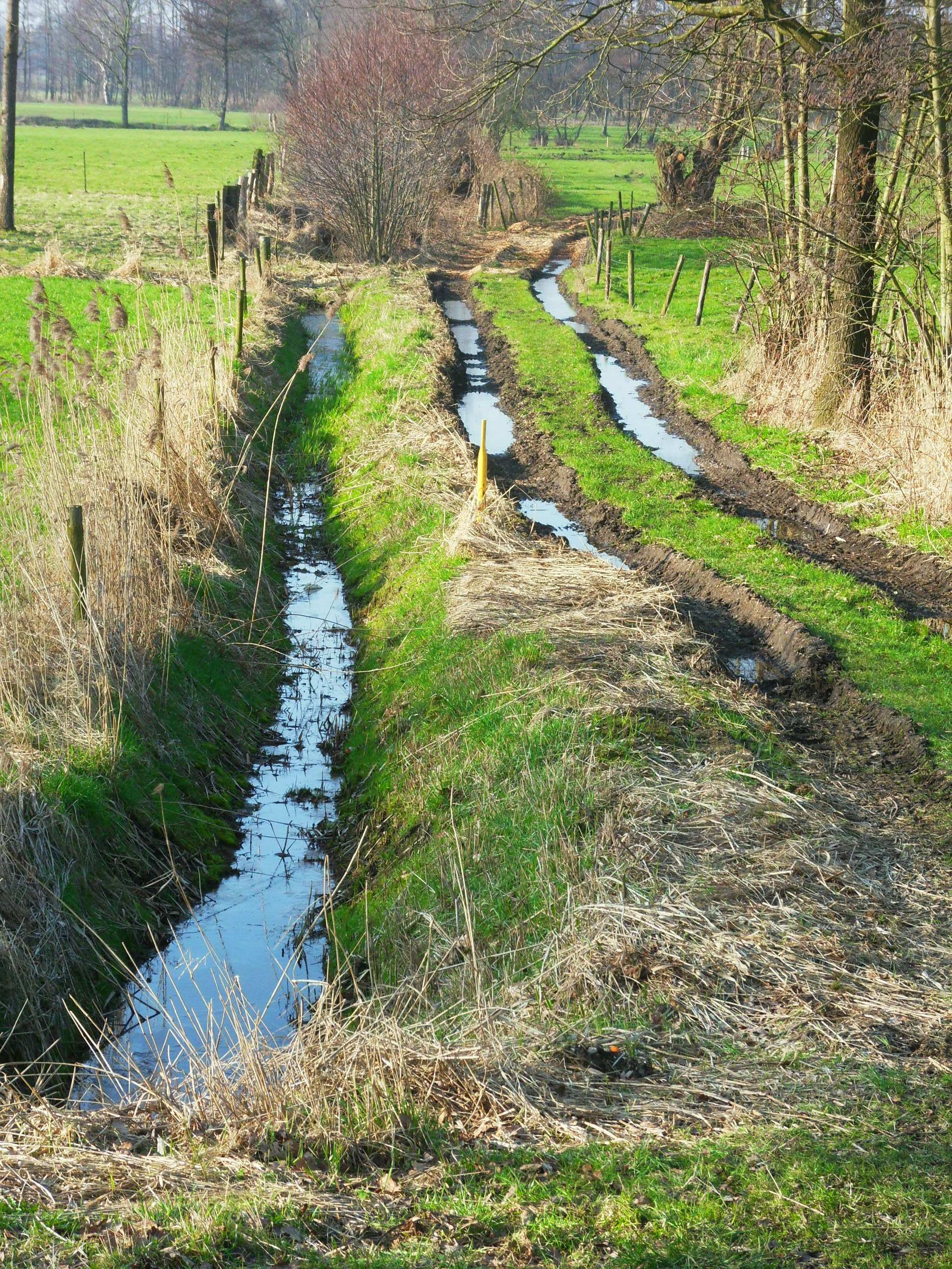 sporen zijn slootjes geworden door de vele regen