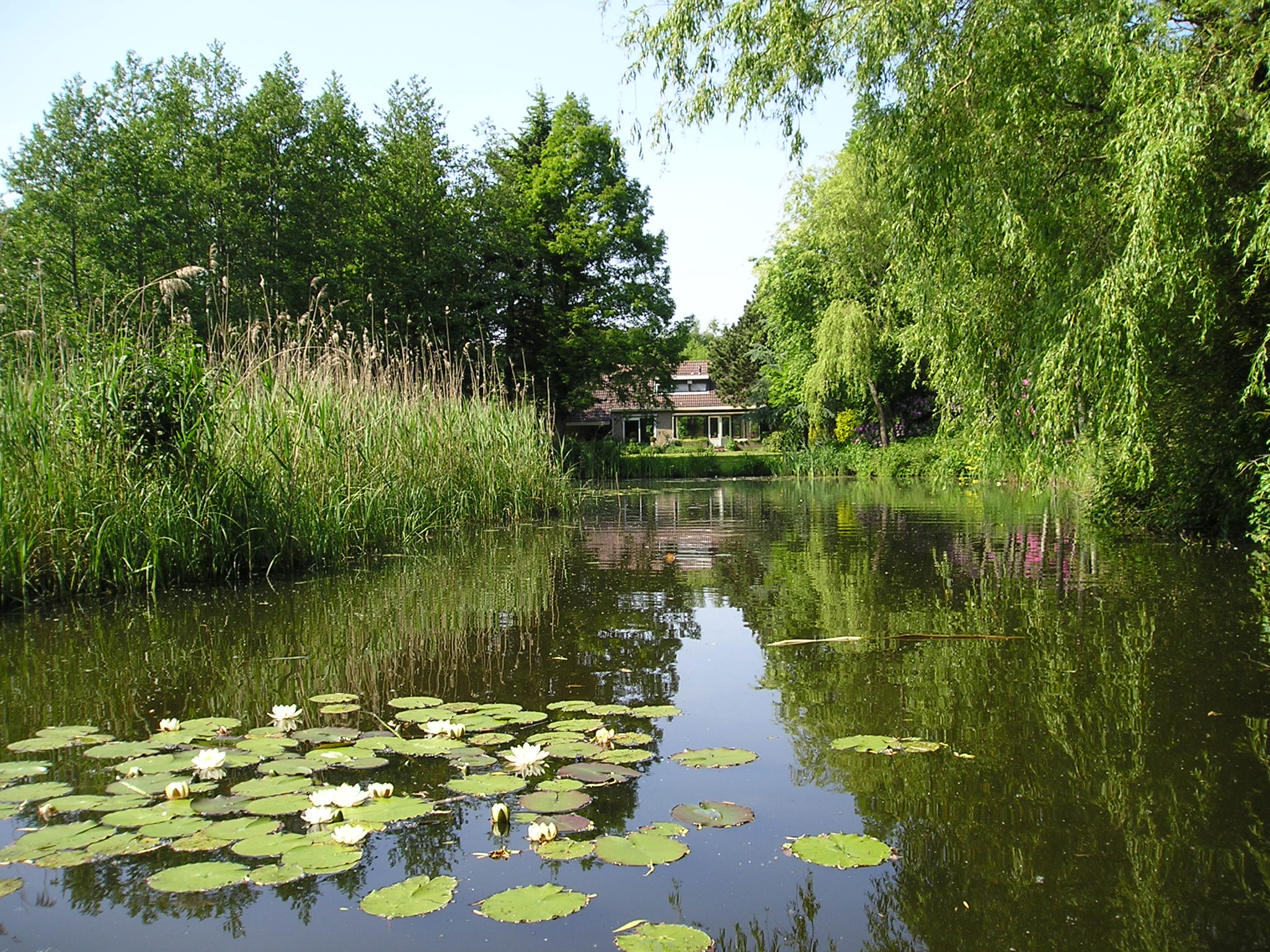 een pingo als tuinvijver