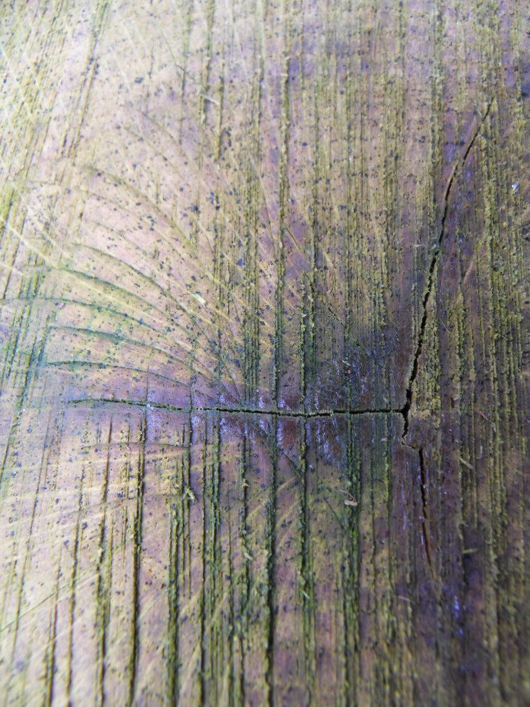 Afgezaagd 7