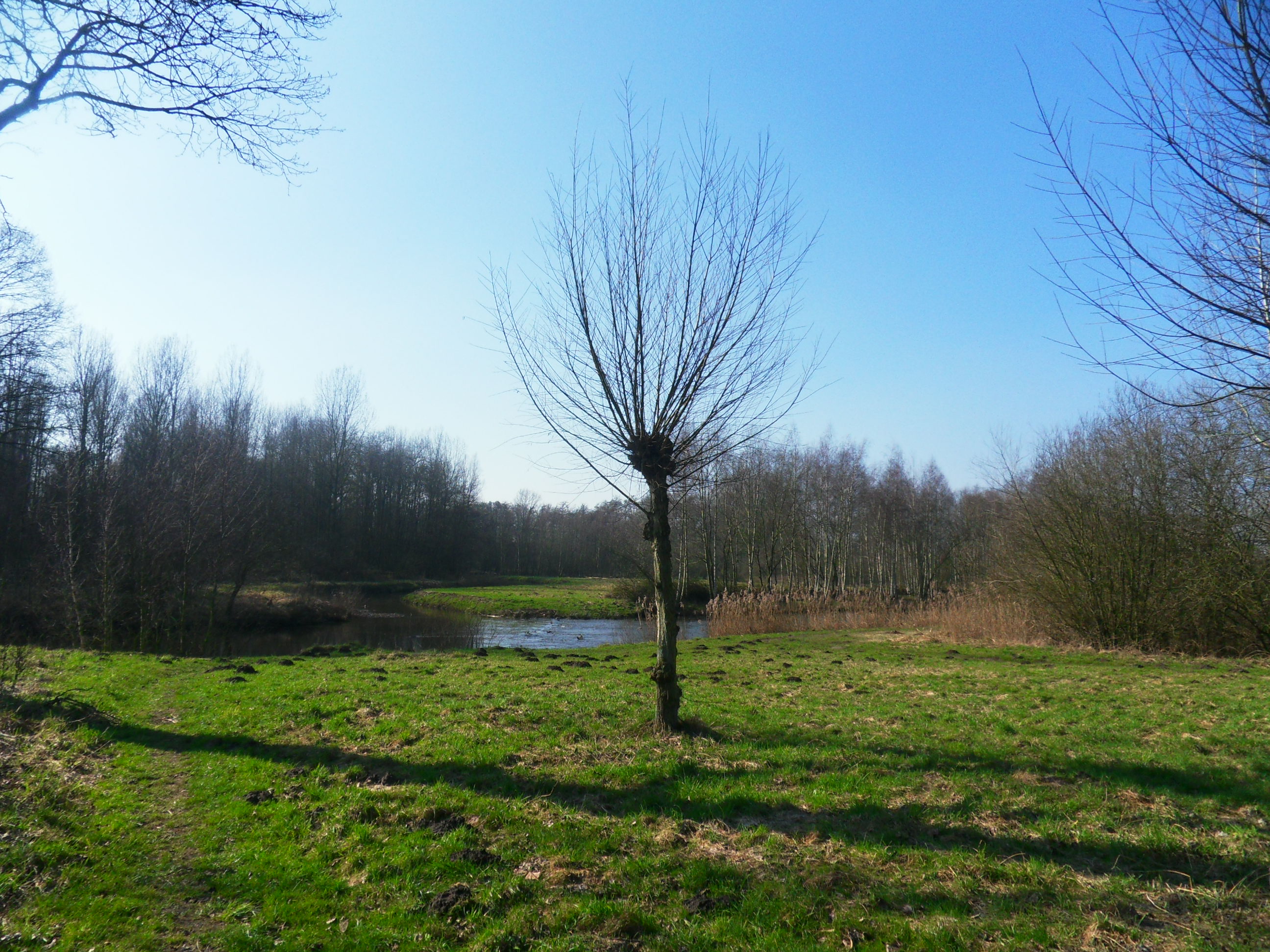 landschap de Dommel