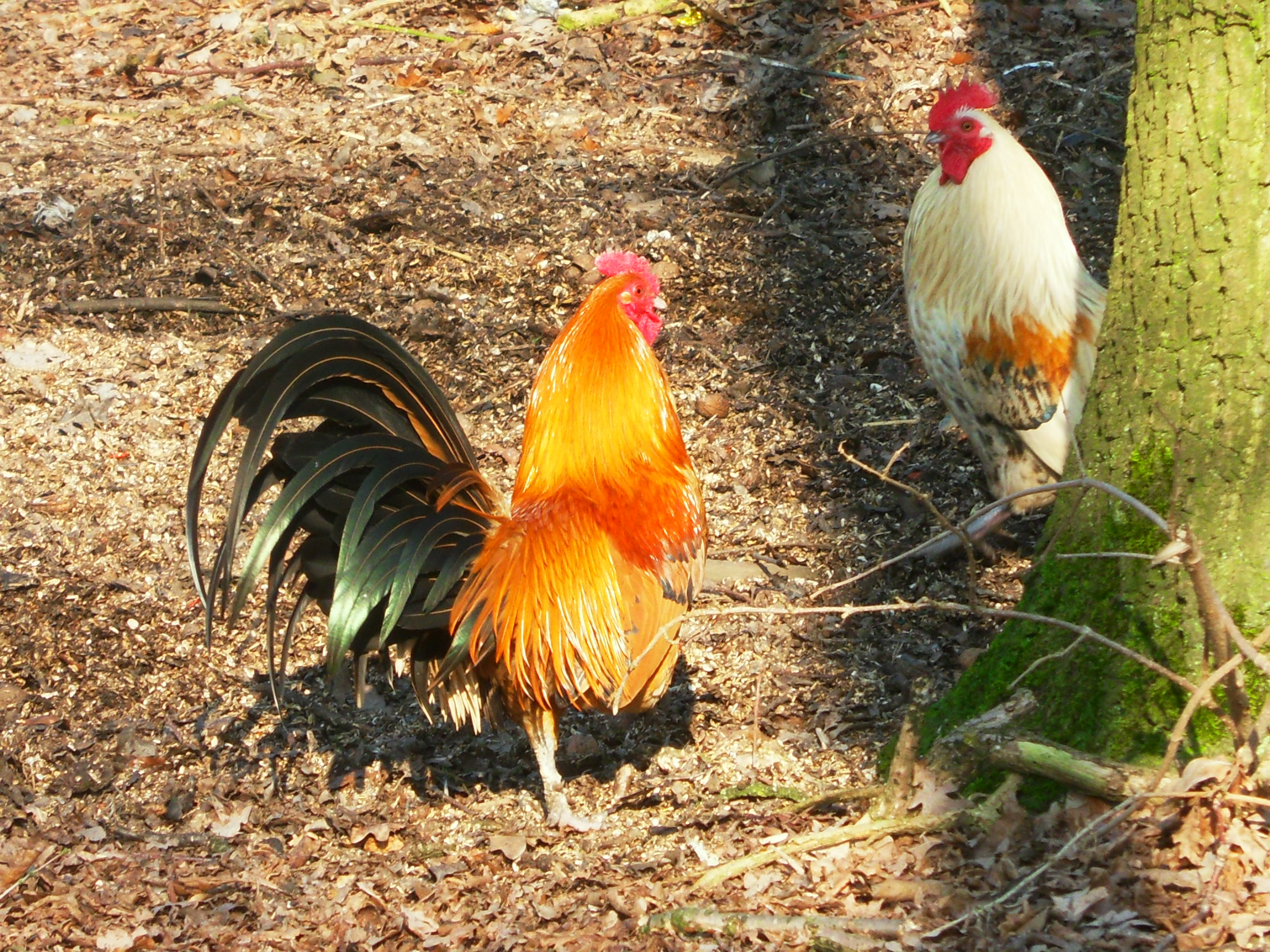 wat een mooie kleuren!