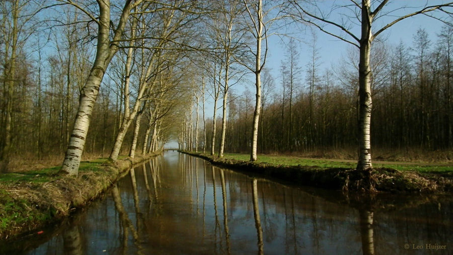 Brede sloot in Alblasserbos