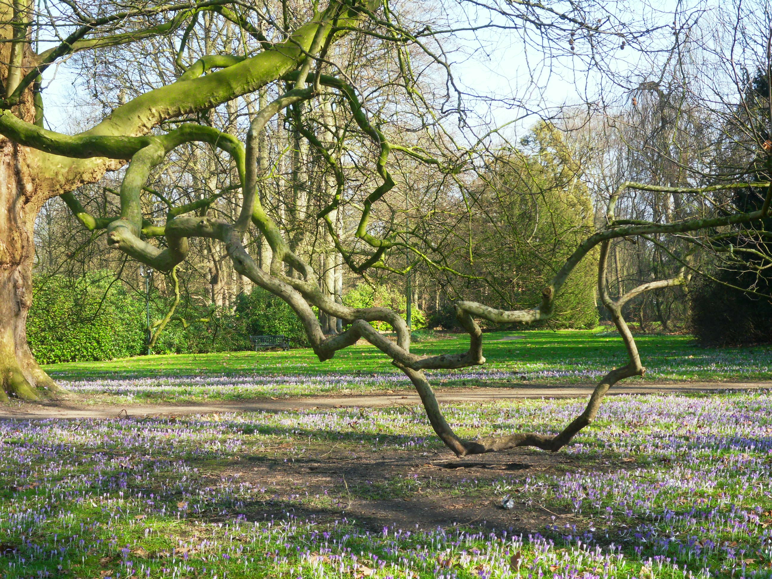 kasteeltuin Geldrop