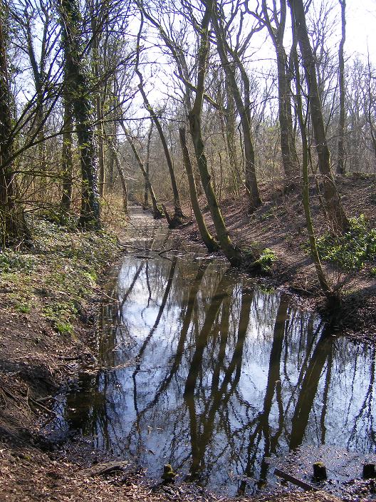 beekje in Meer & Bos