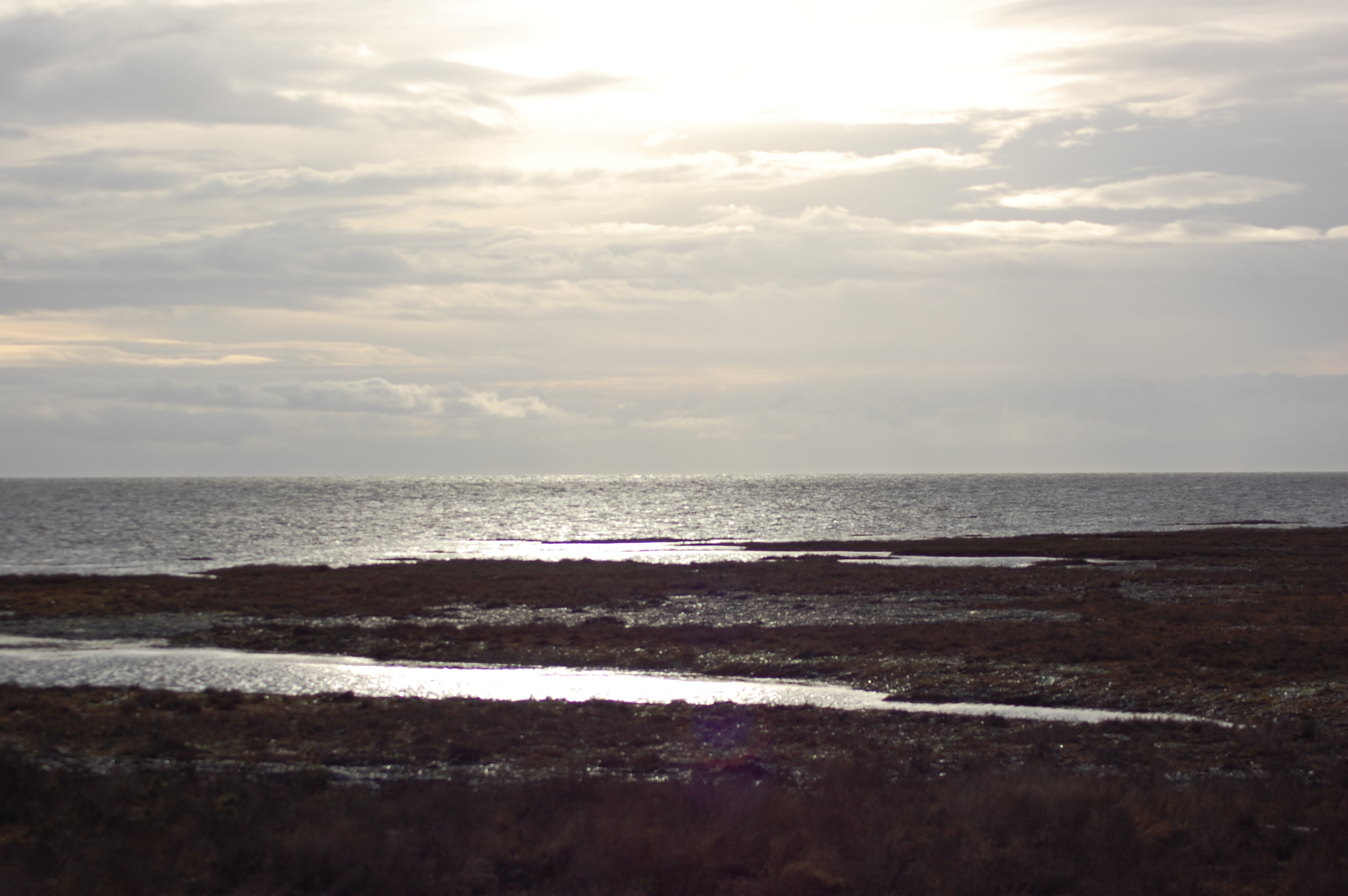 Boundary Bay 2