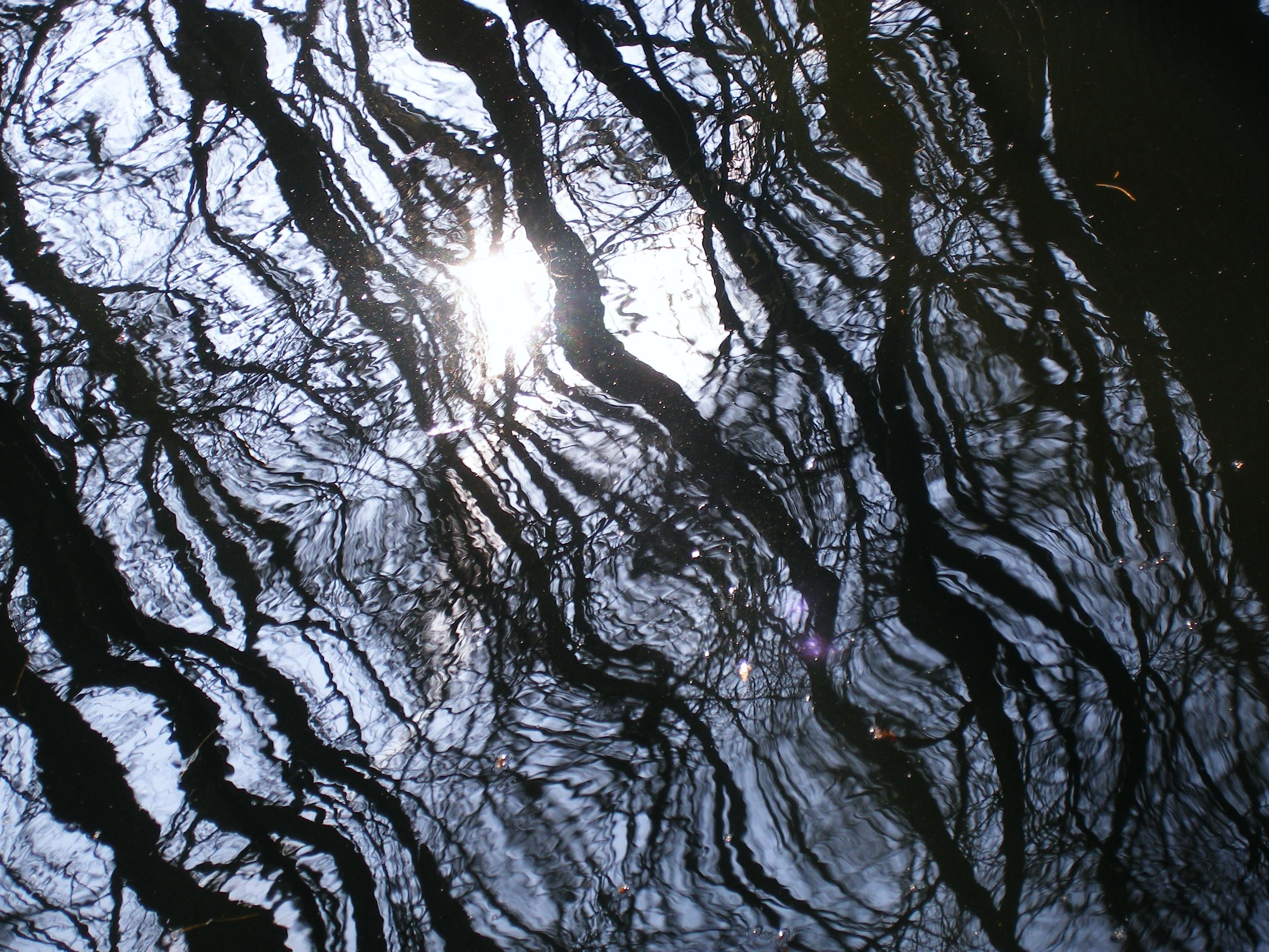 schittering