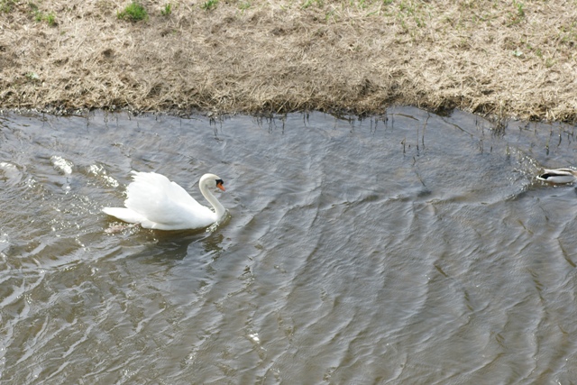 Afbakenen teritorium
