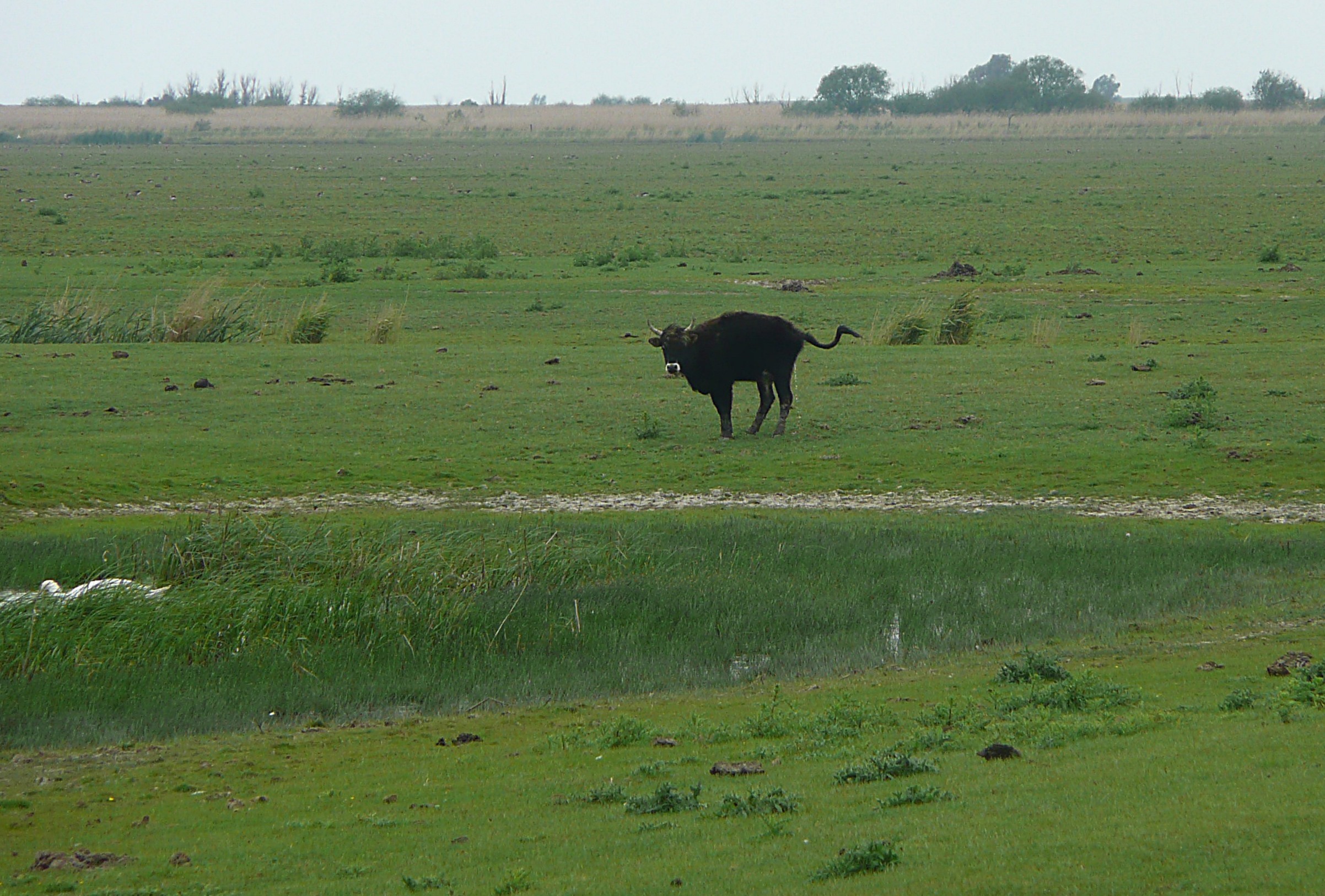 Sorry, ik moest zo nodig