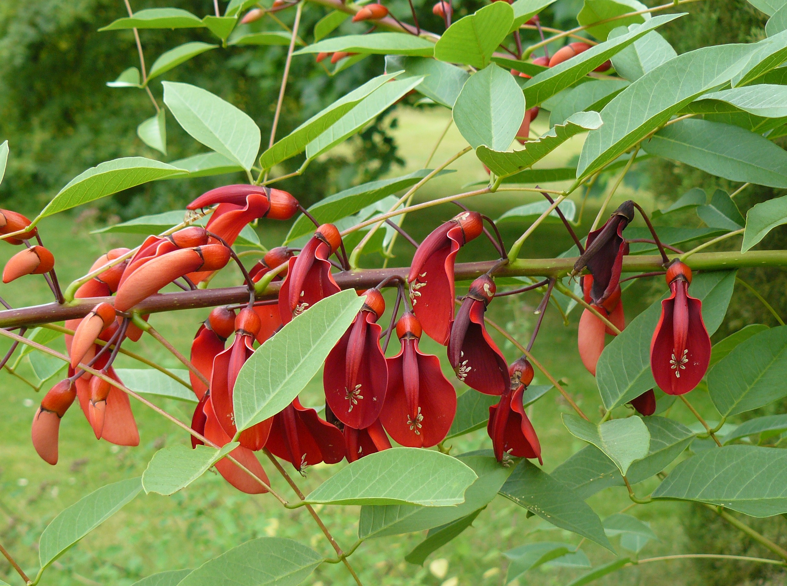 prachtige waarneming tijdens wandeling