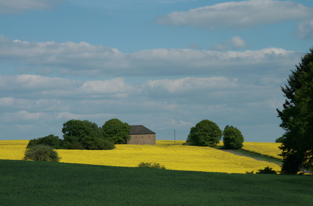 Groen, geel en blauw