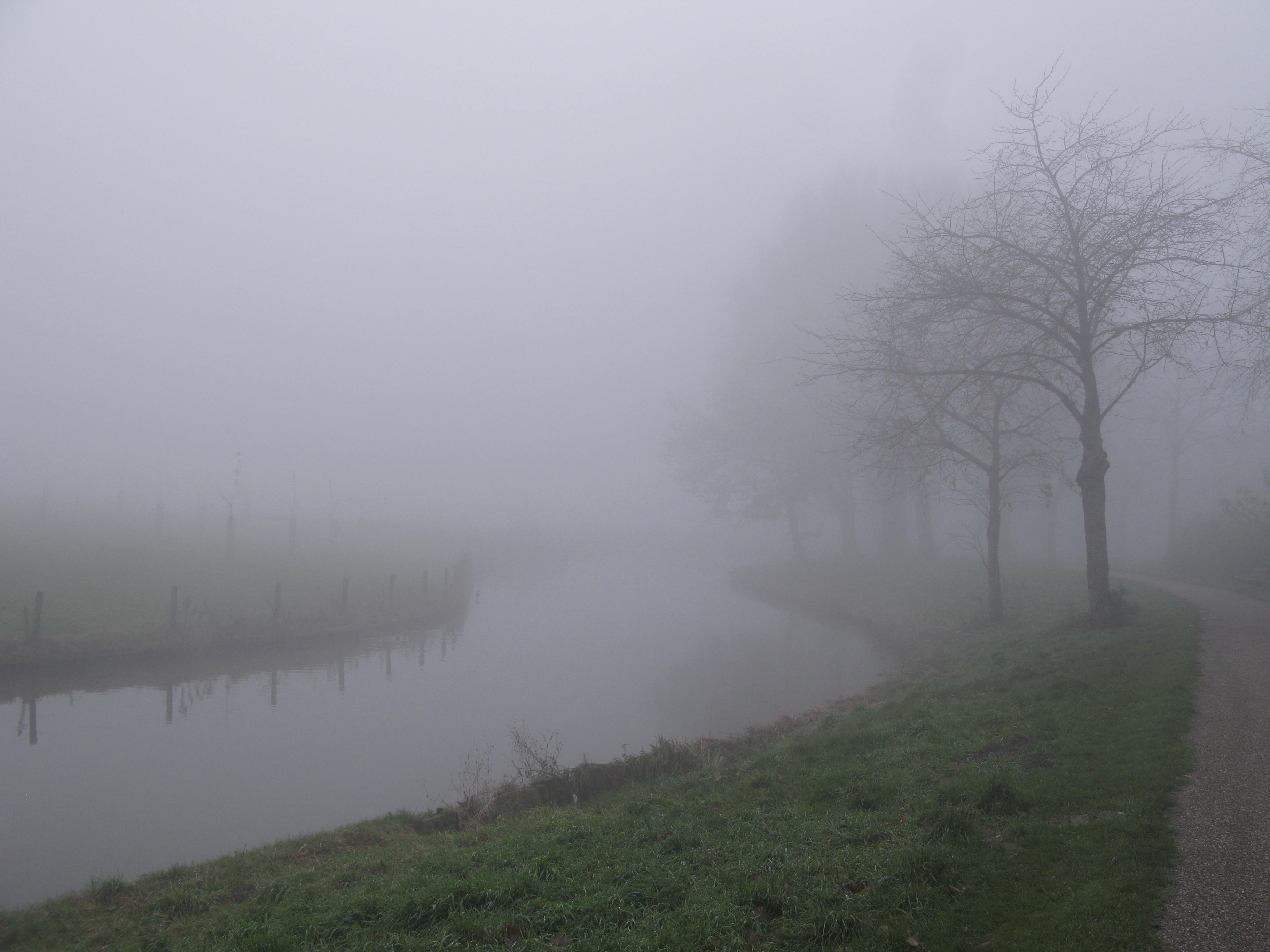 Kromme Rijn in de mist