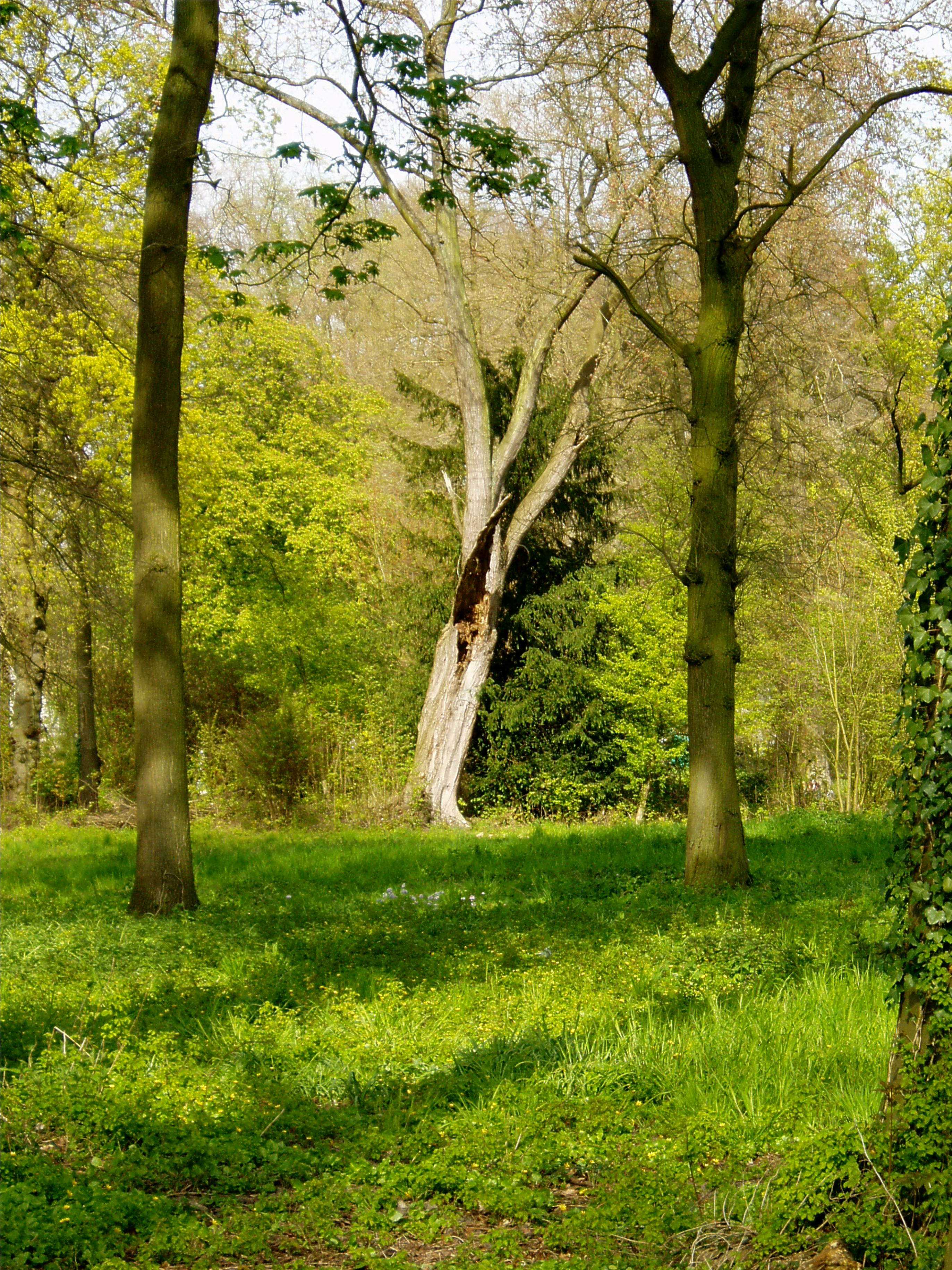 kasteel park van kasteel de Haar