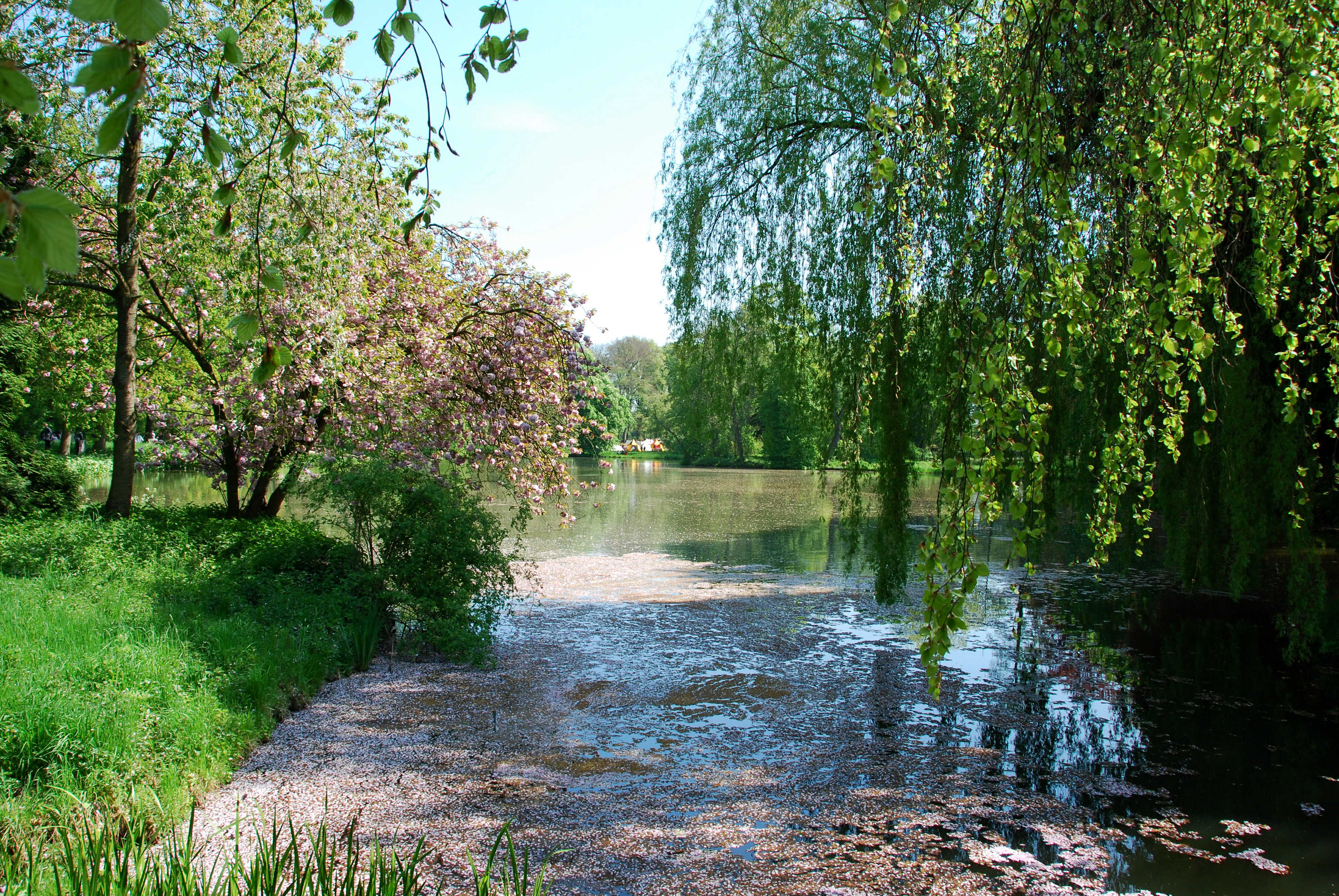 kasteel park kasteel de Haar